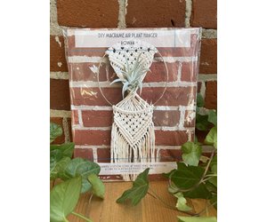 DIY Macrame Rowan 8 Air Plant Hanger Kit  Plant People: A Botanical  Boutique and Cafe