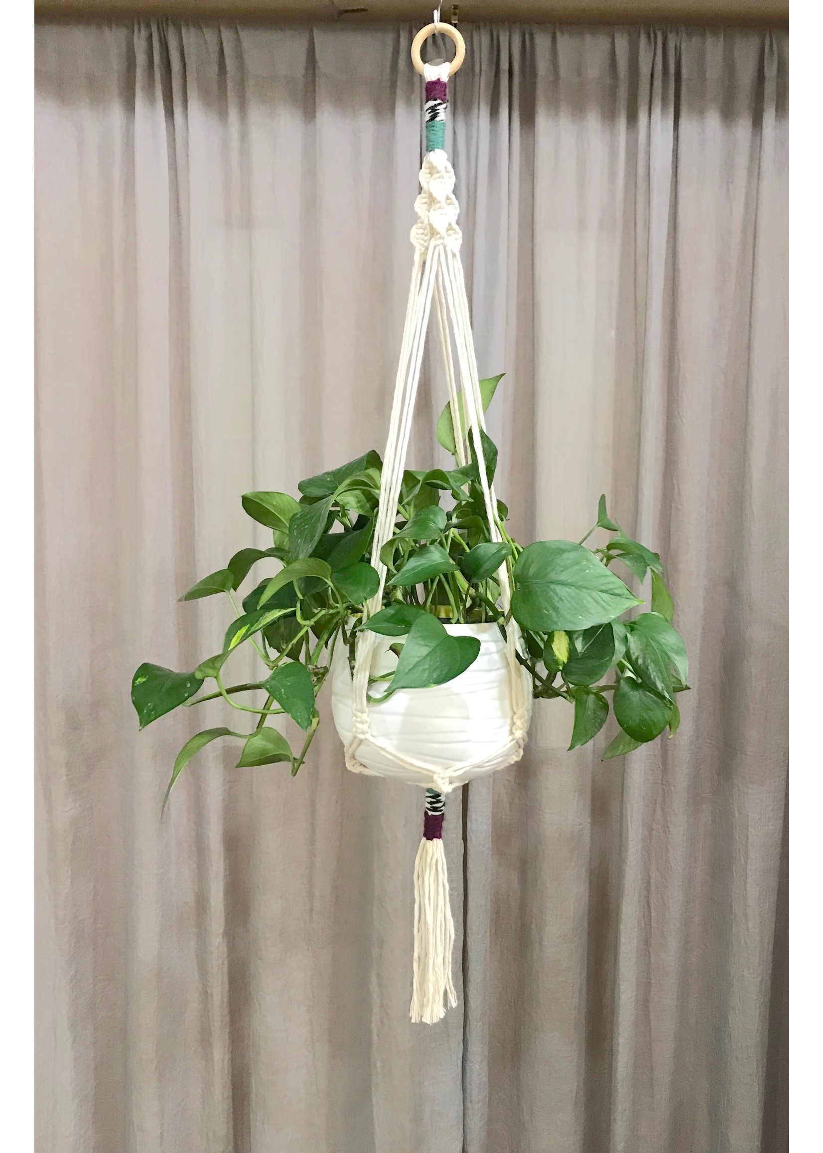 DIY Plant Hangers: Give Your Plants a Home With The Macrame