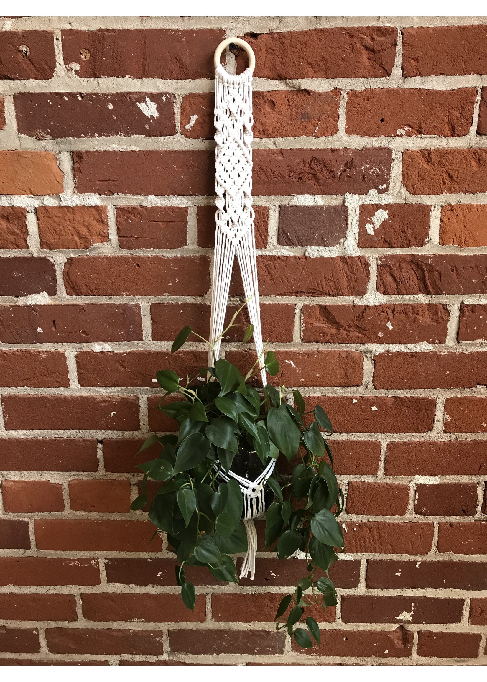 Macrame Plant Hanger, Chimes & More - Craft Book: #J100 To Knot or