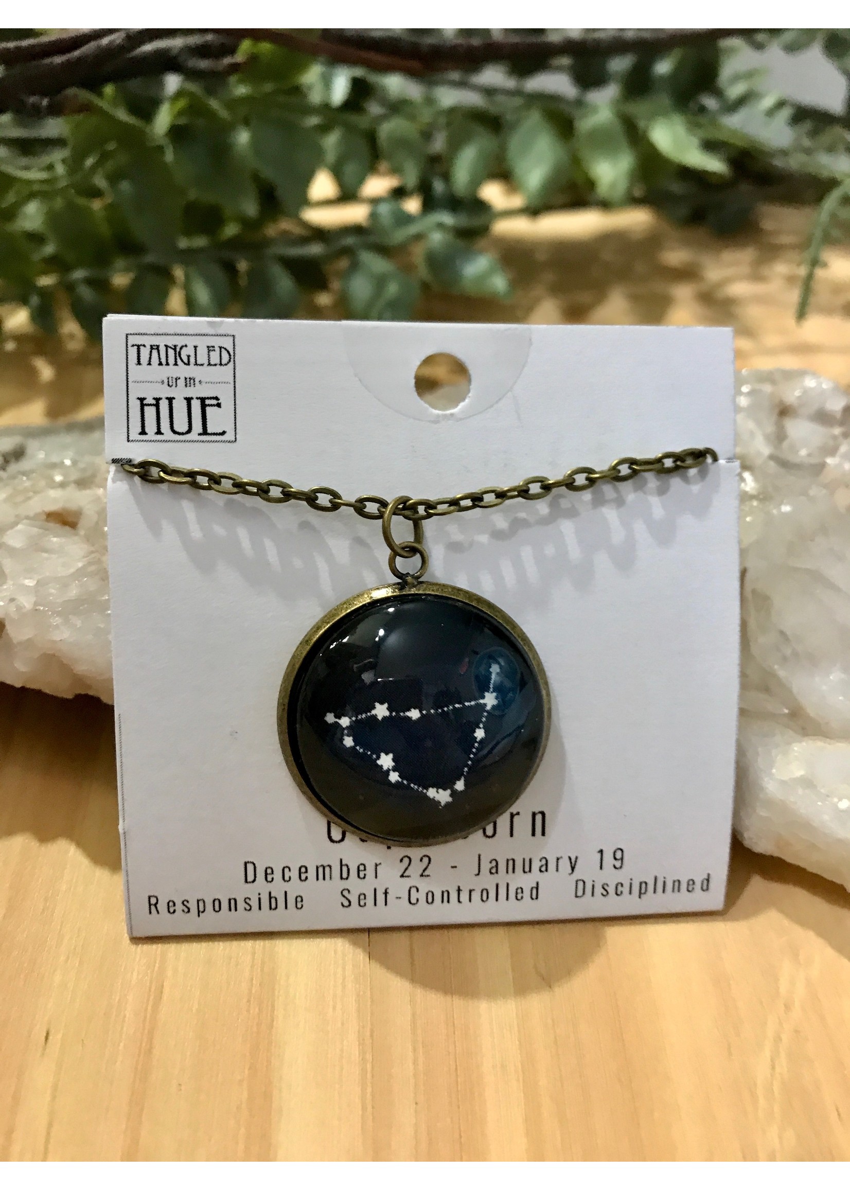 Tangled Up In Hue Zodiac Image Necklace