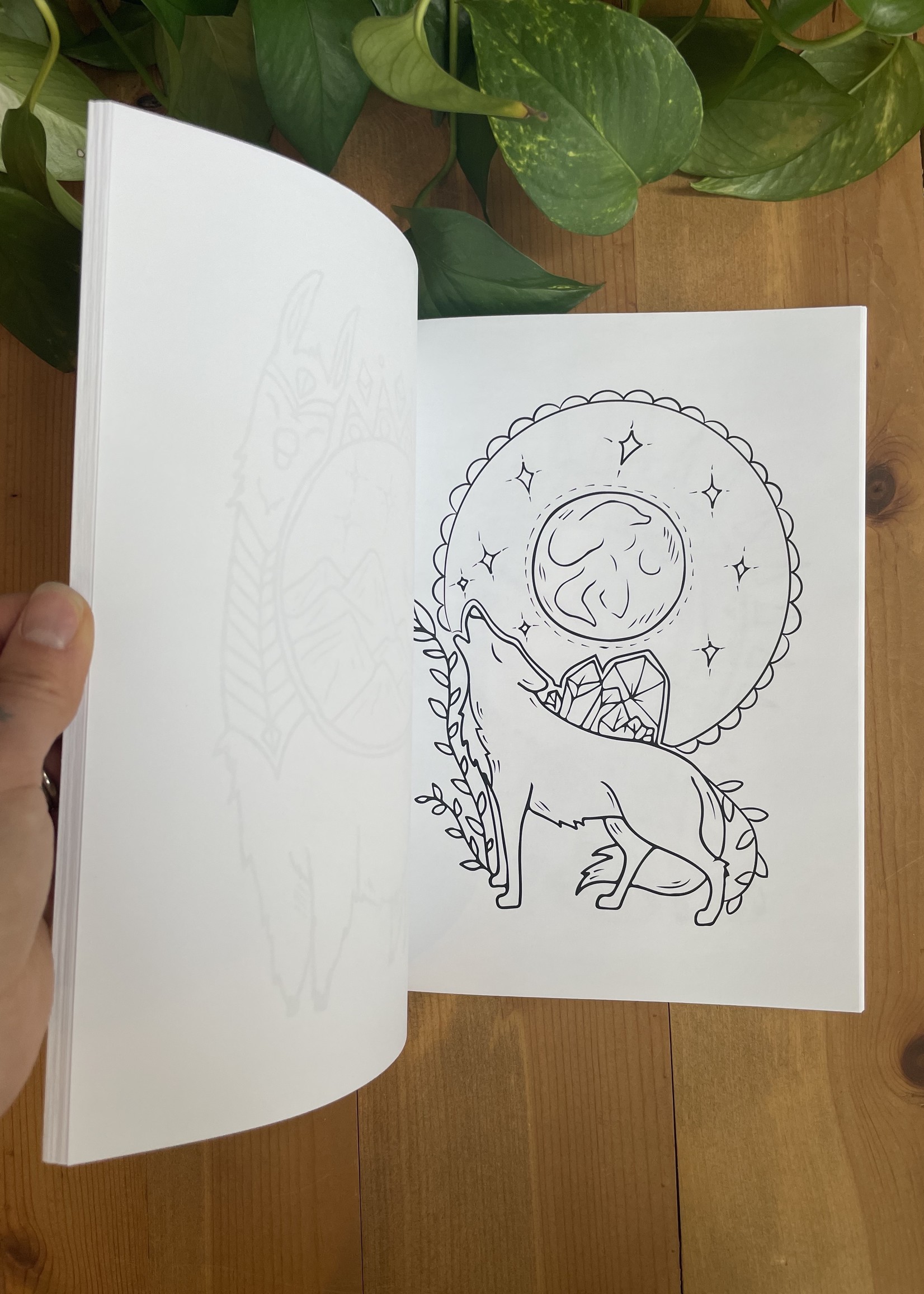 Animal Essence Coloring Book - Tangled Up In Hue