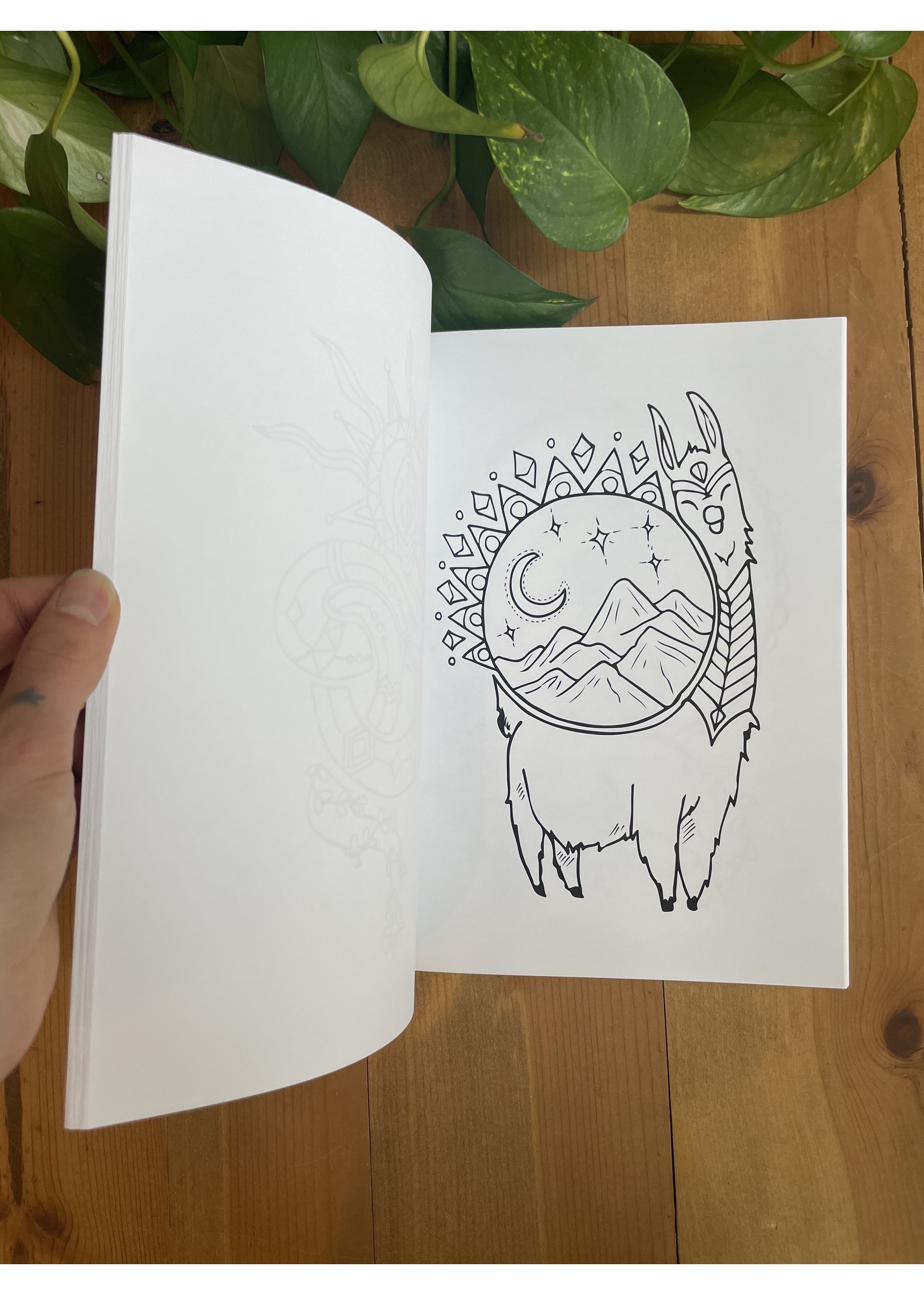 Animal Essence Coloring Book