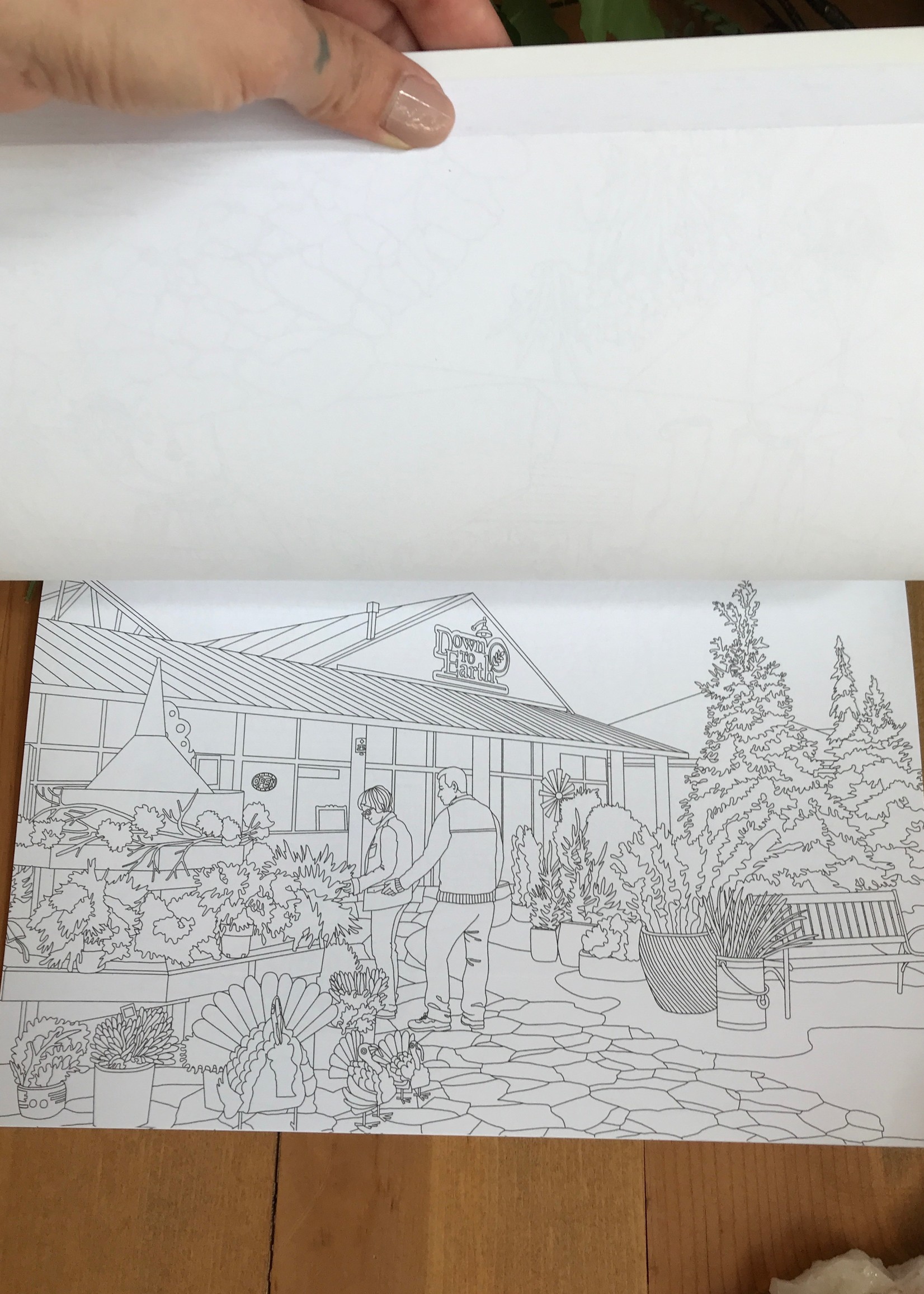 Color Eau Claire Coloring Book - Tangled Up In Hue