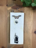 Butterfly, Eye, Pointer plaque