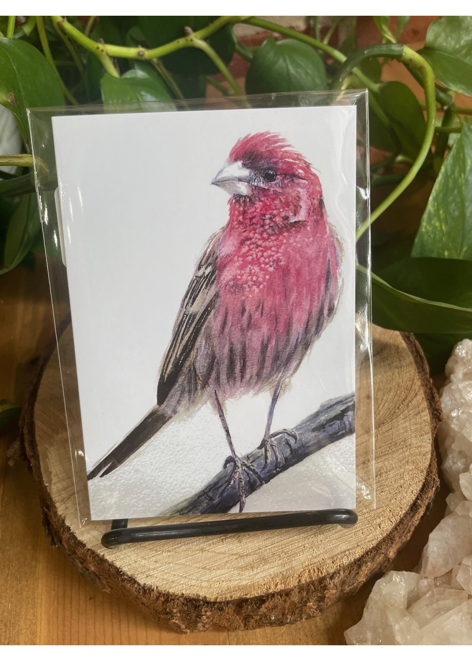Amy Beidleman Bird Cards -