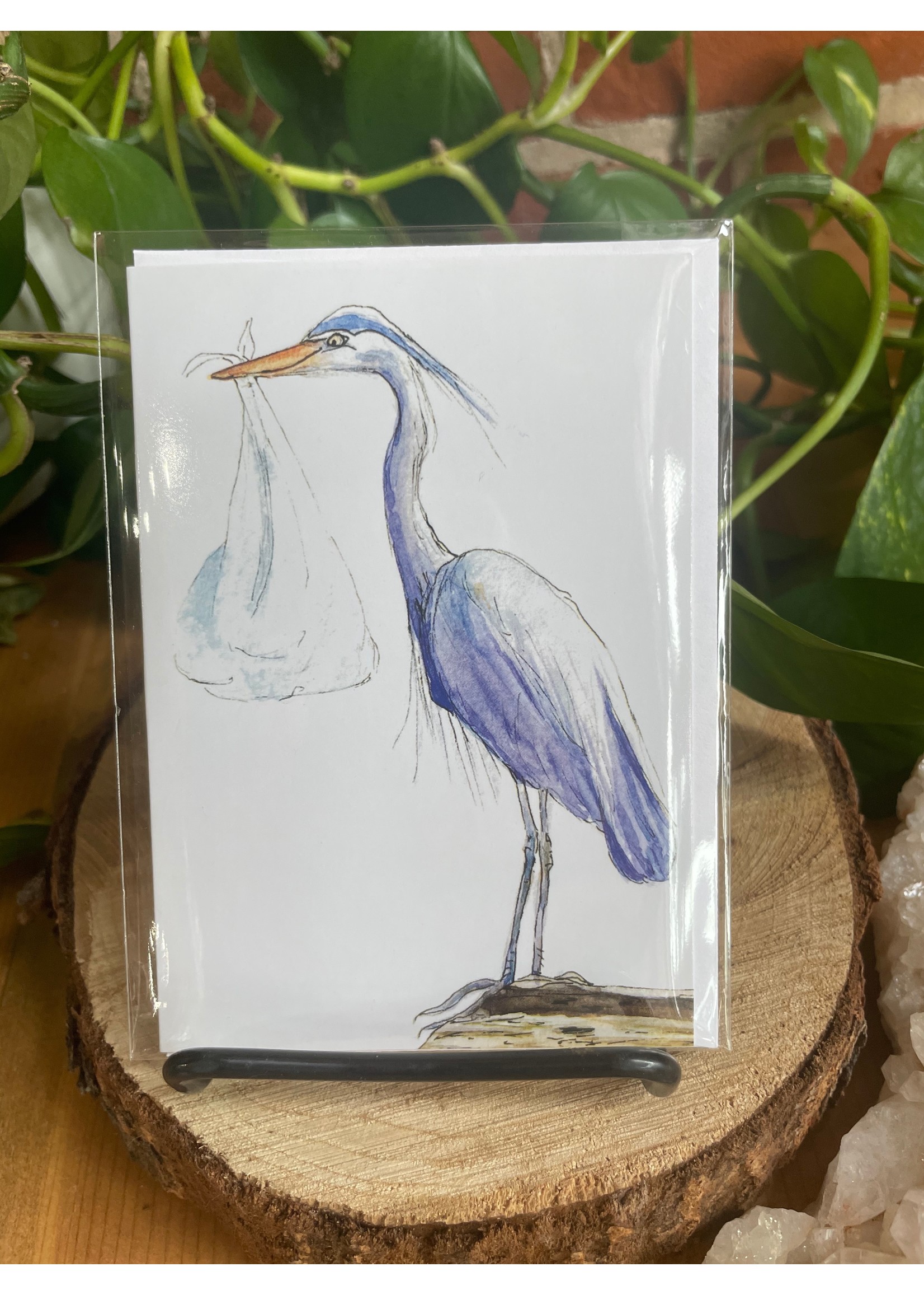 Amy Beidleman Bird Cards -