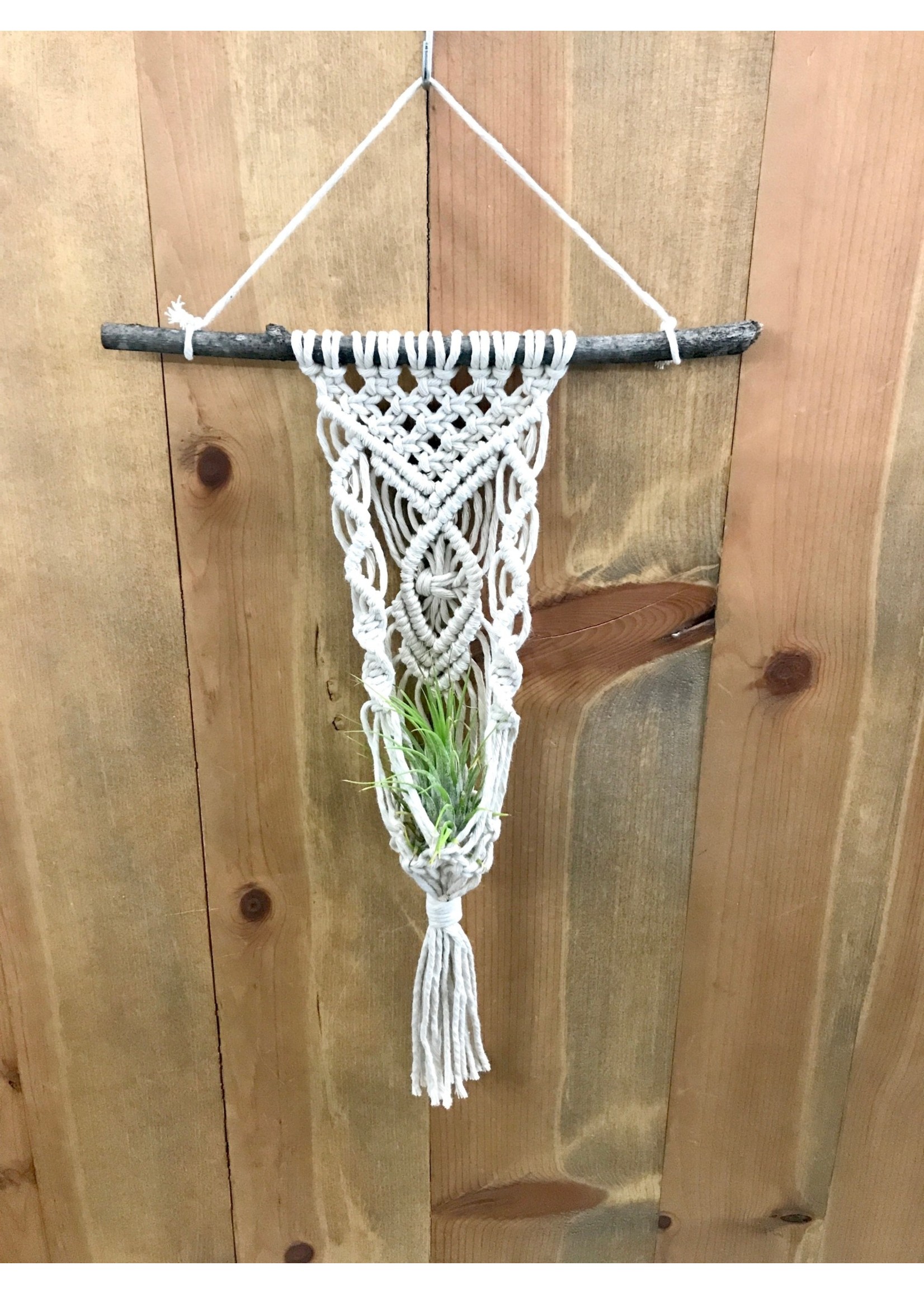 Tween Craft: Macramé Plant Hanger (8yo. & Up) — Newnan Carnegie