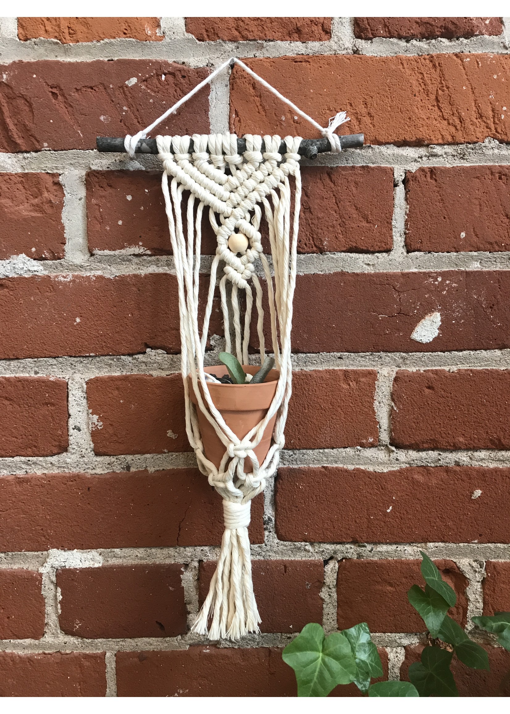 The Anika Macrame Air Plant Hanger