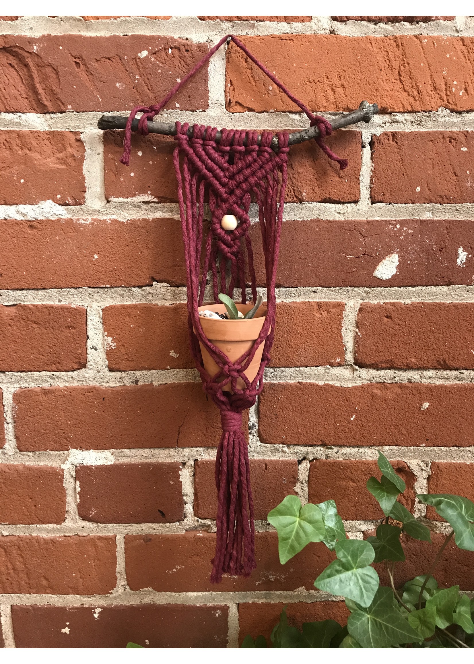 The Anika Macrame Air Plant Hanger