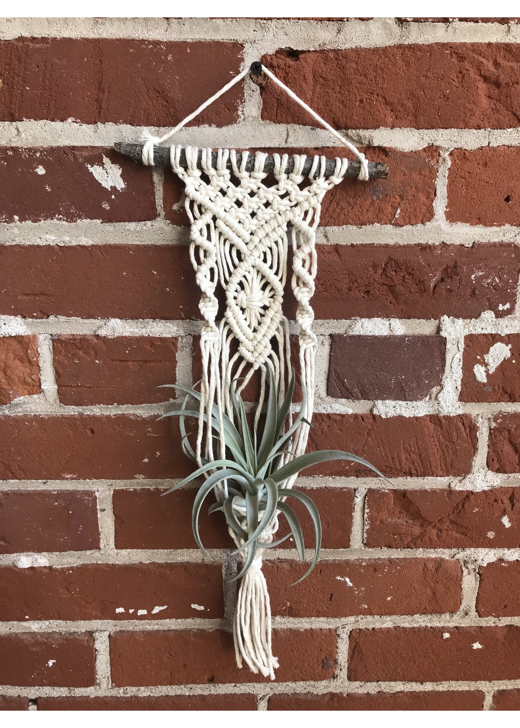 Anna - Macrame Plant Hanger