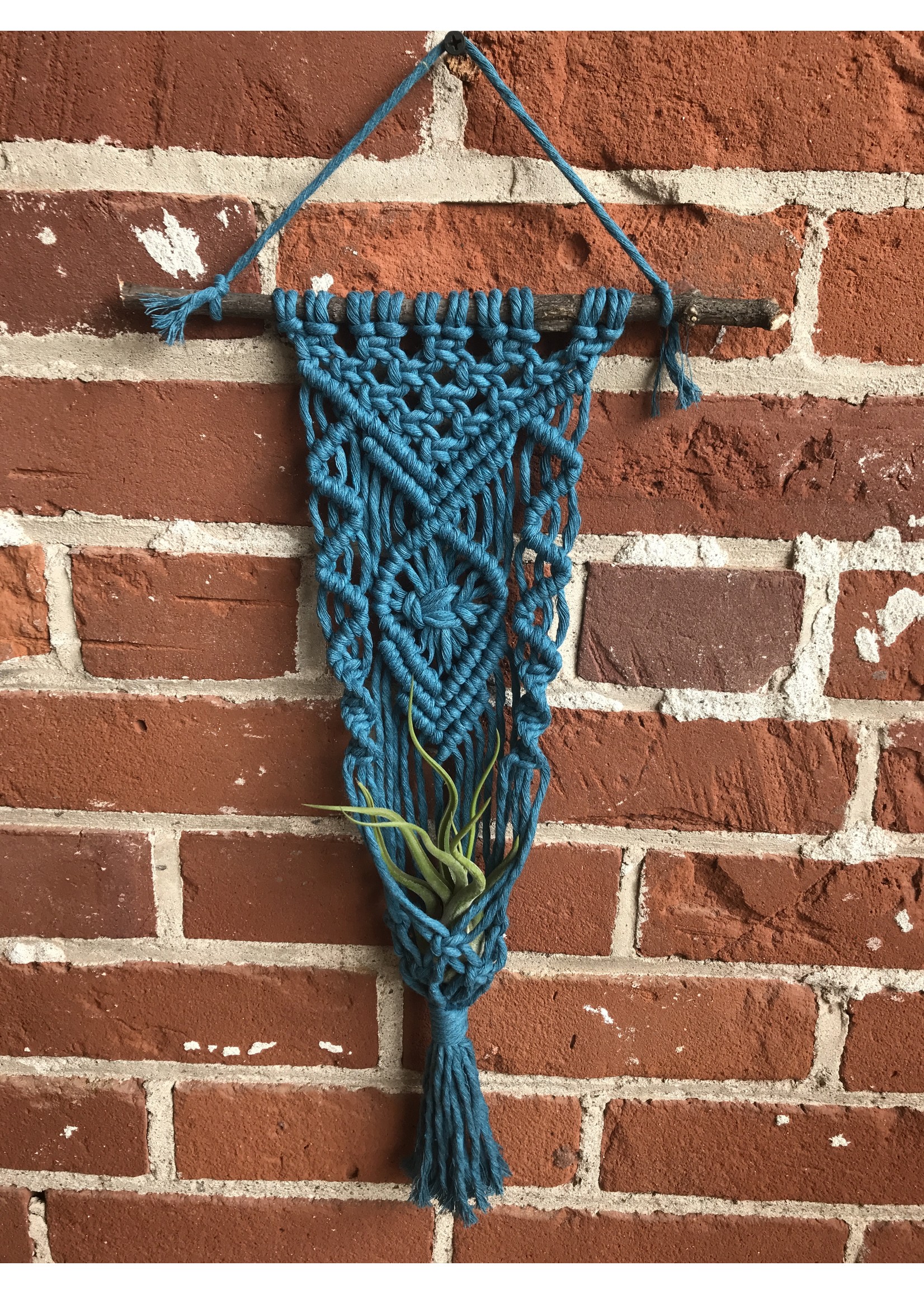 Anna - Macrame Plant Hanger