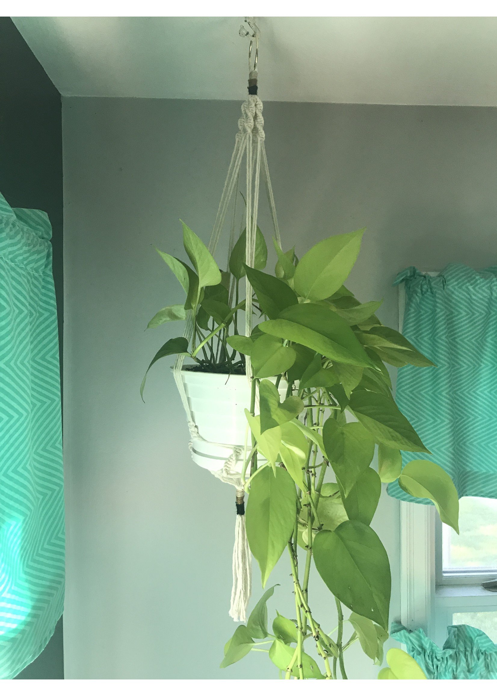 Yarn Wrap Macrame Plant Hanger