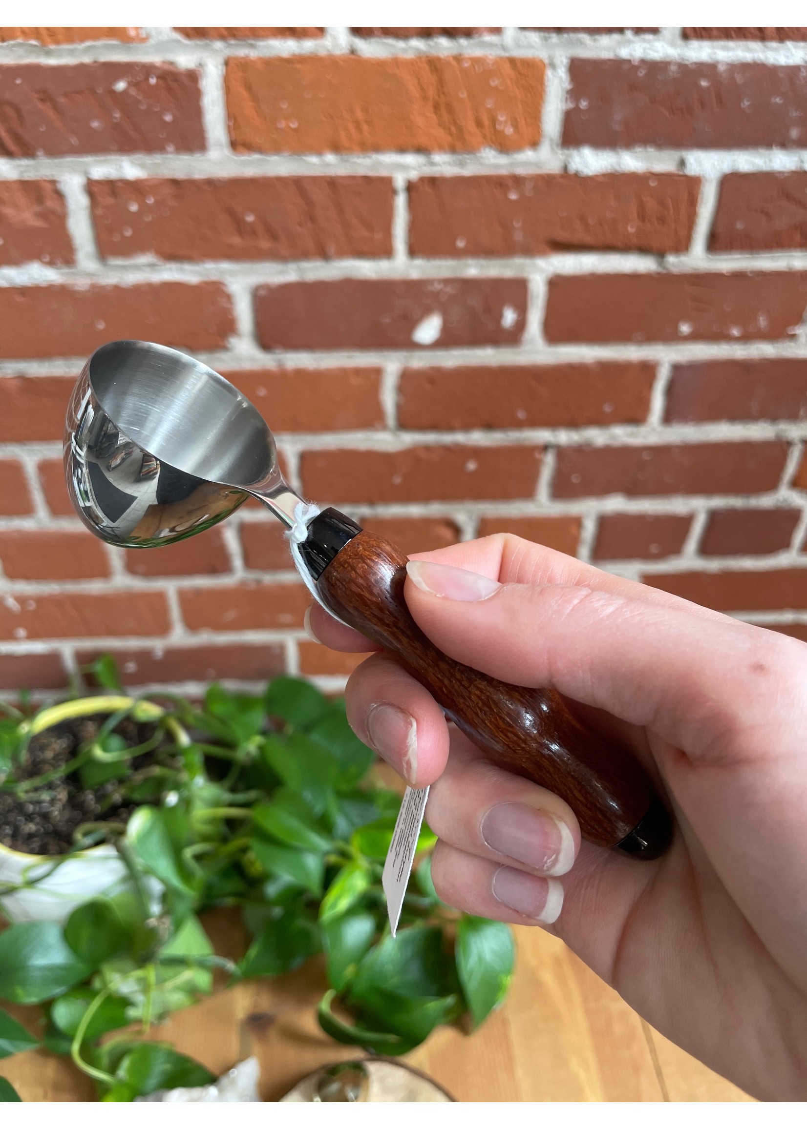 Coffee Scoops Tangled Up In Hue