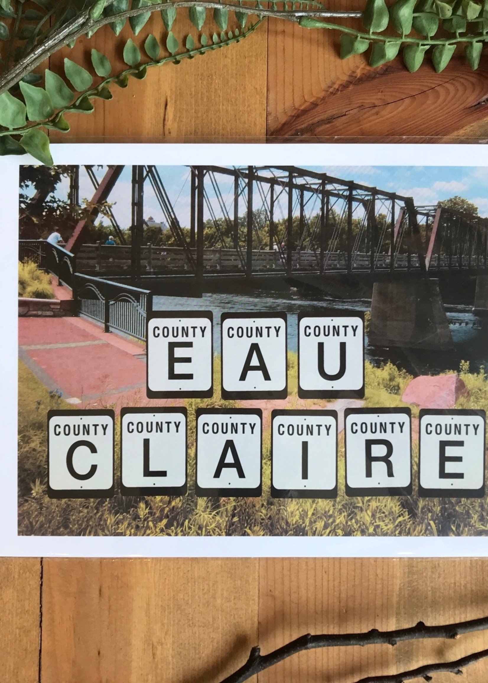 Eau Claire County Highway Signs Art Print