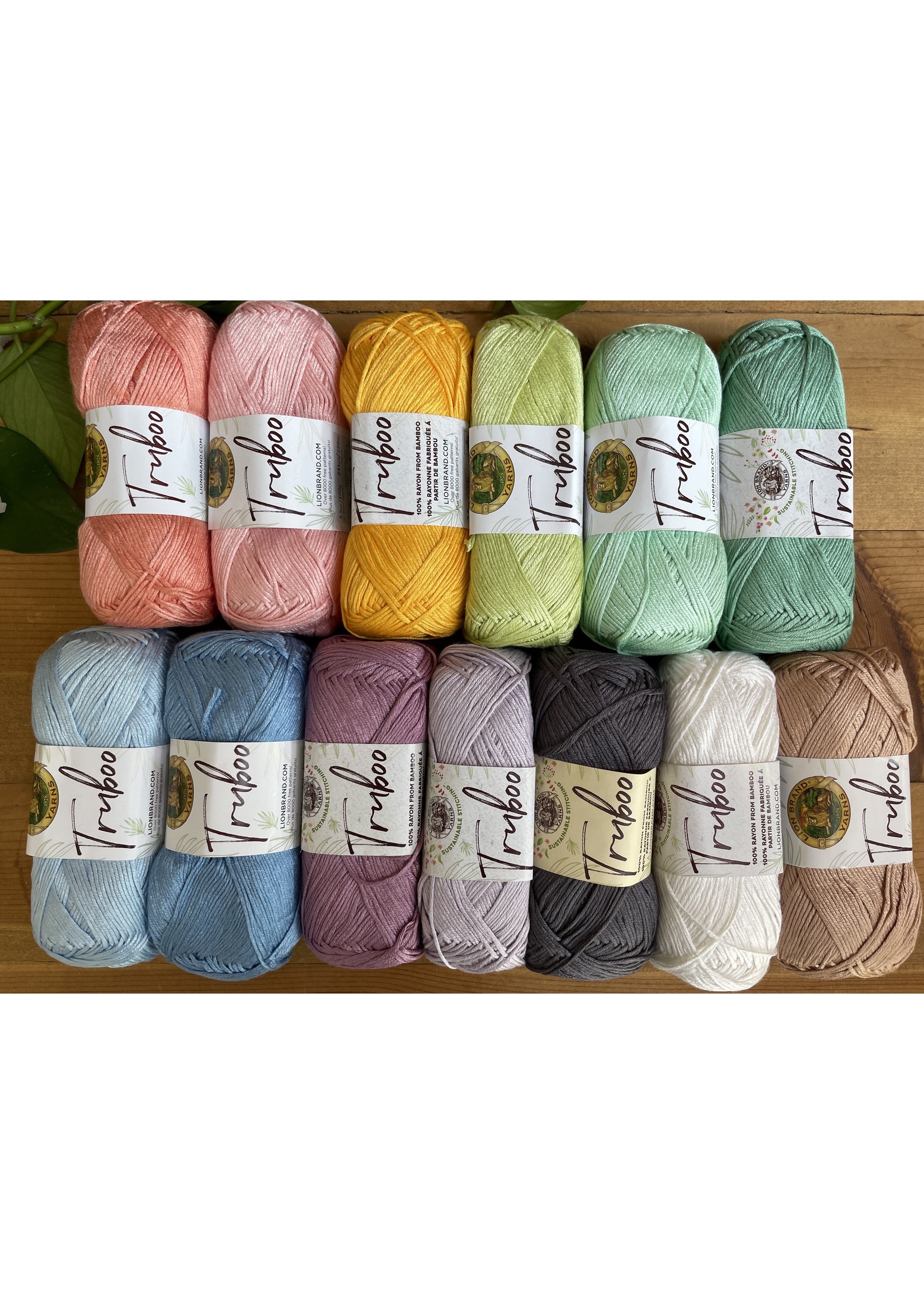 Truboo Lion Brand Yarn - Tangled Up In Hue