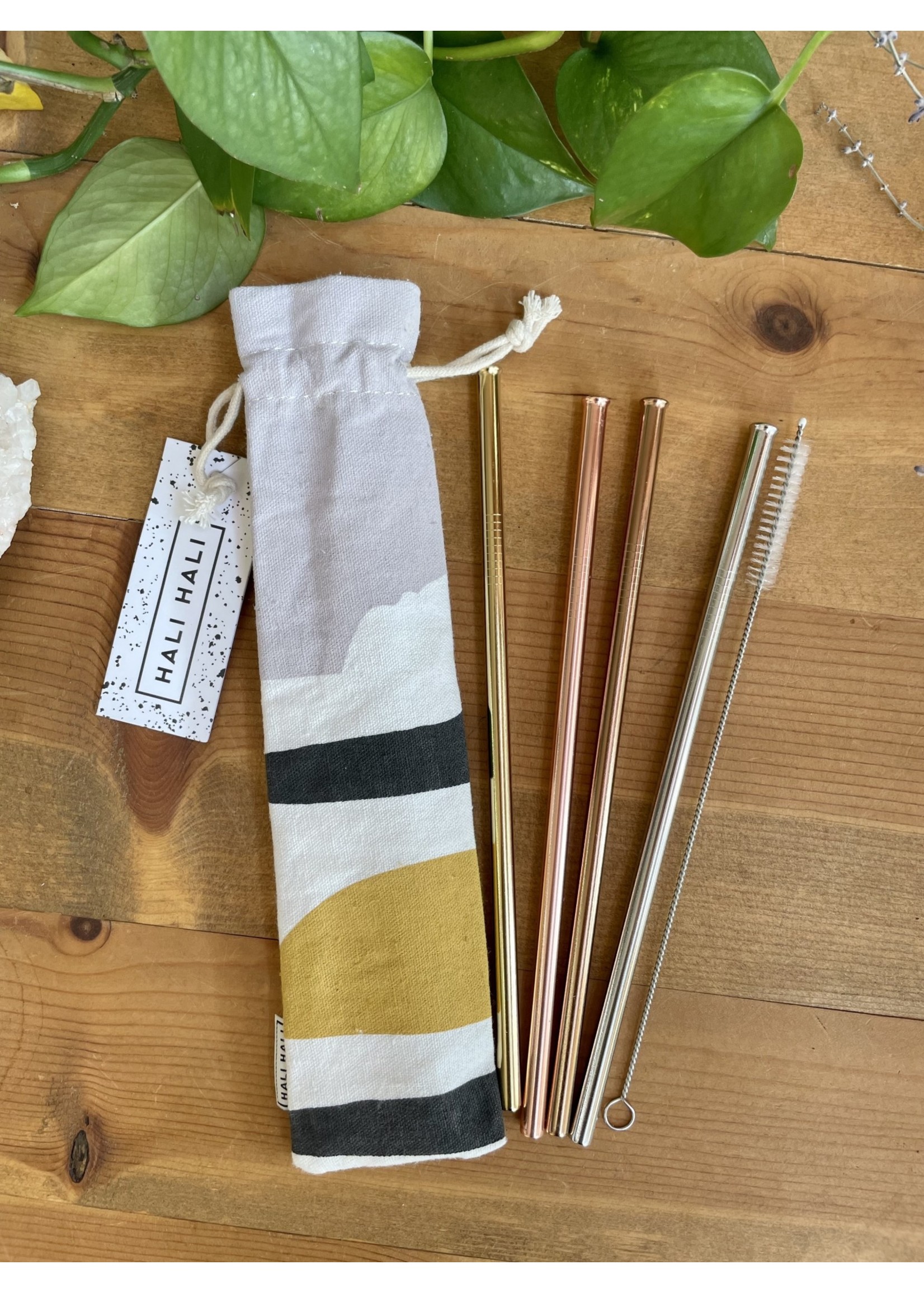 EcoFriendly Straw Set Tangled Up In Hue