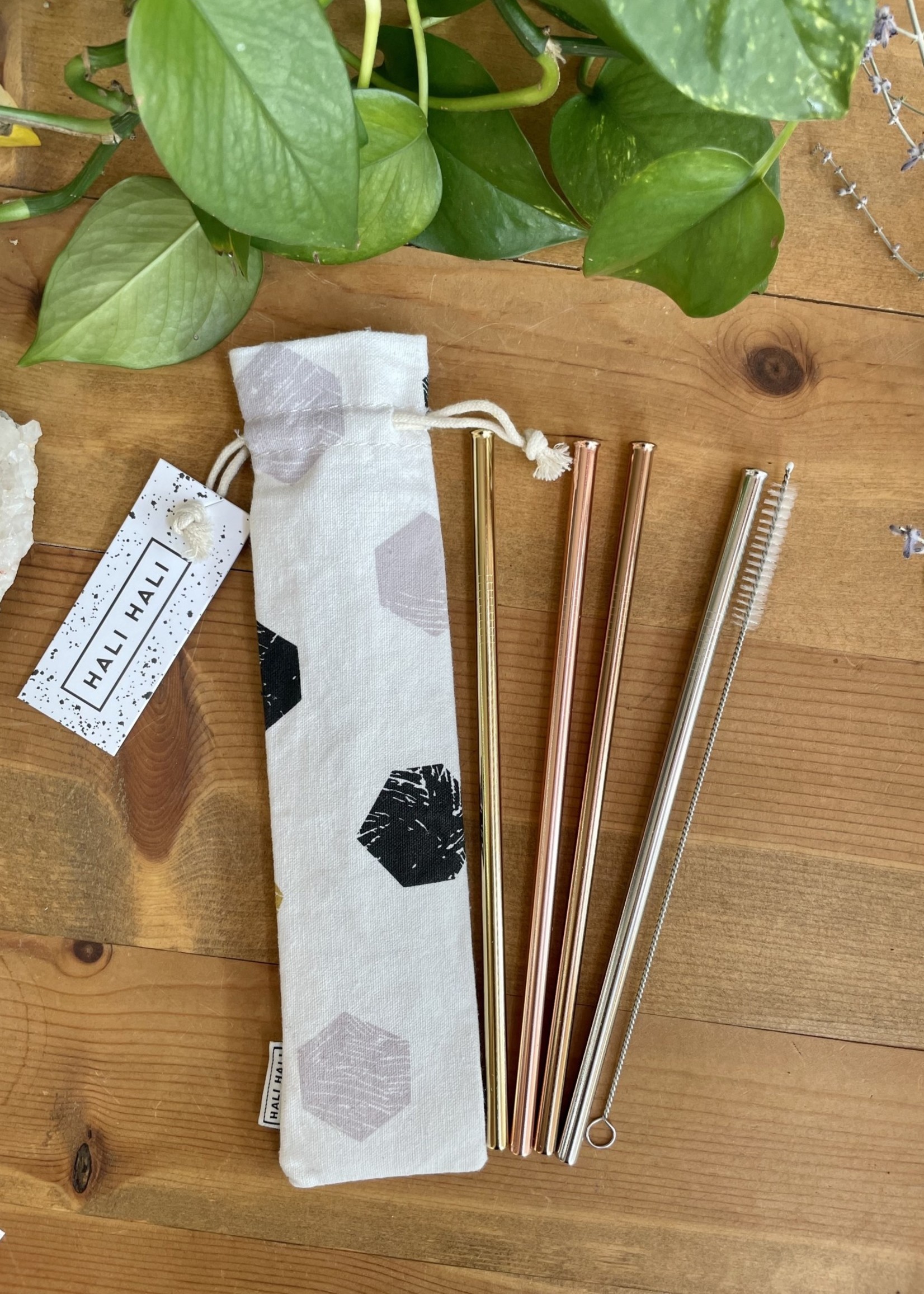 EcoFriendly Straw Set Tangled Up In Hue