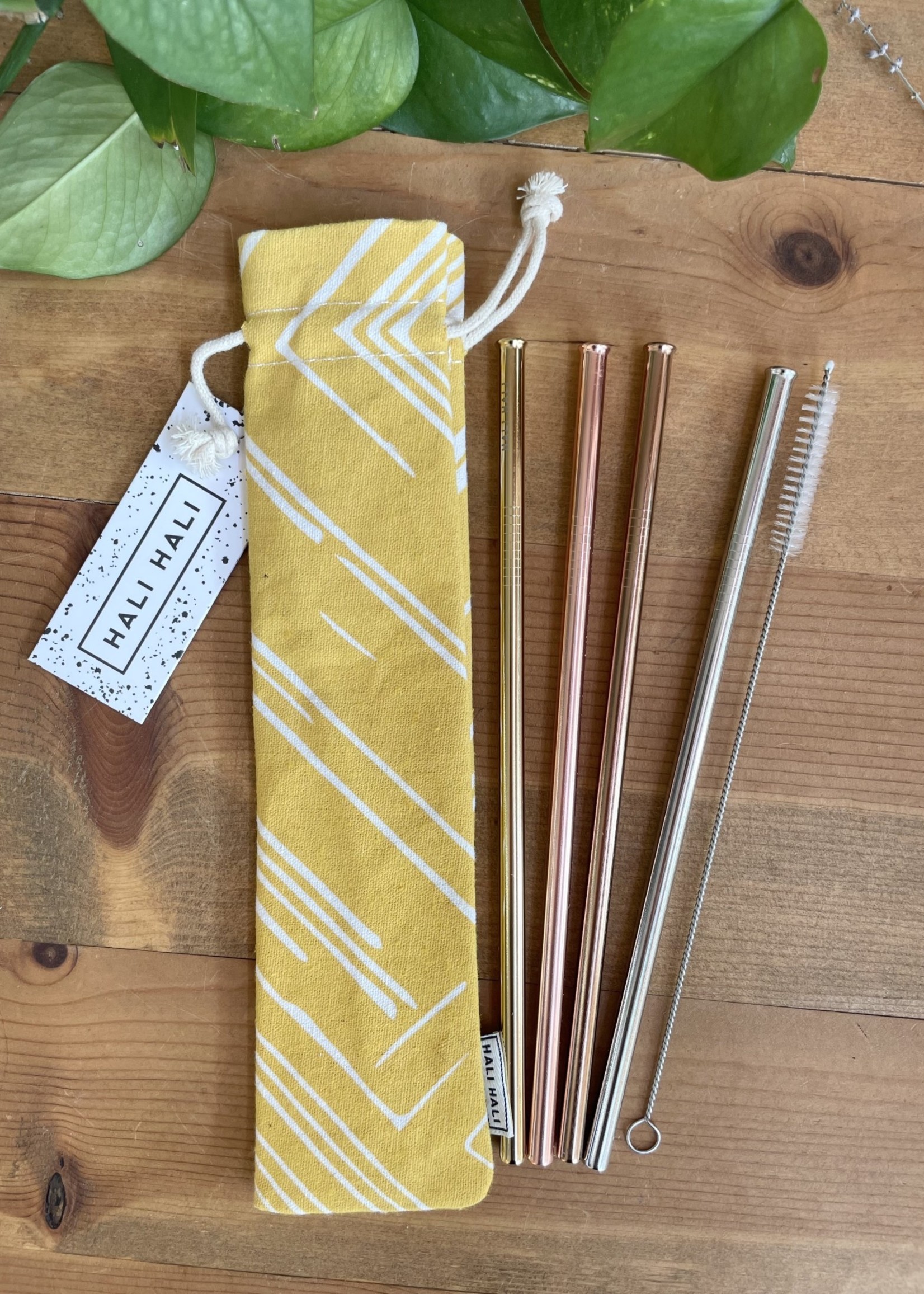 EcoFriendly Straw Set Tangled Up In Hue