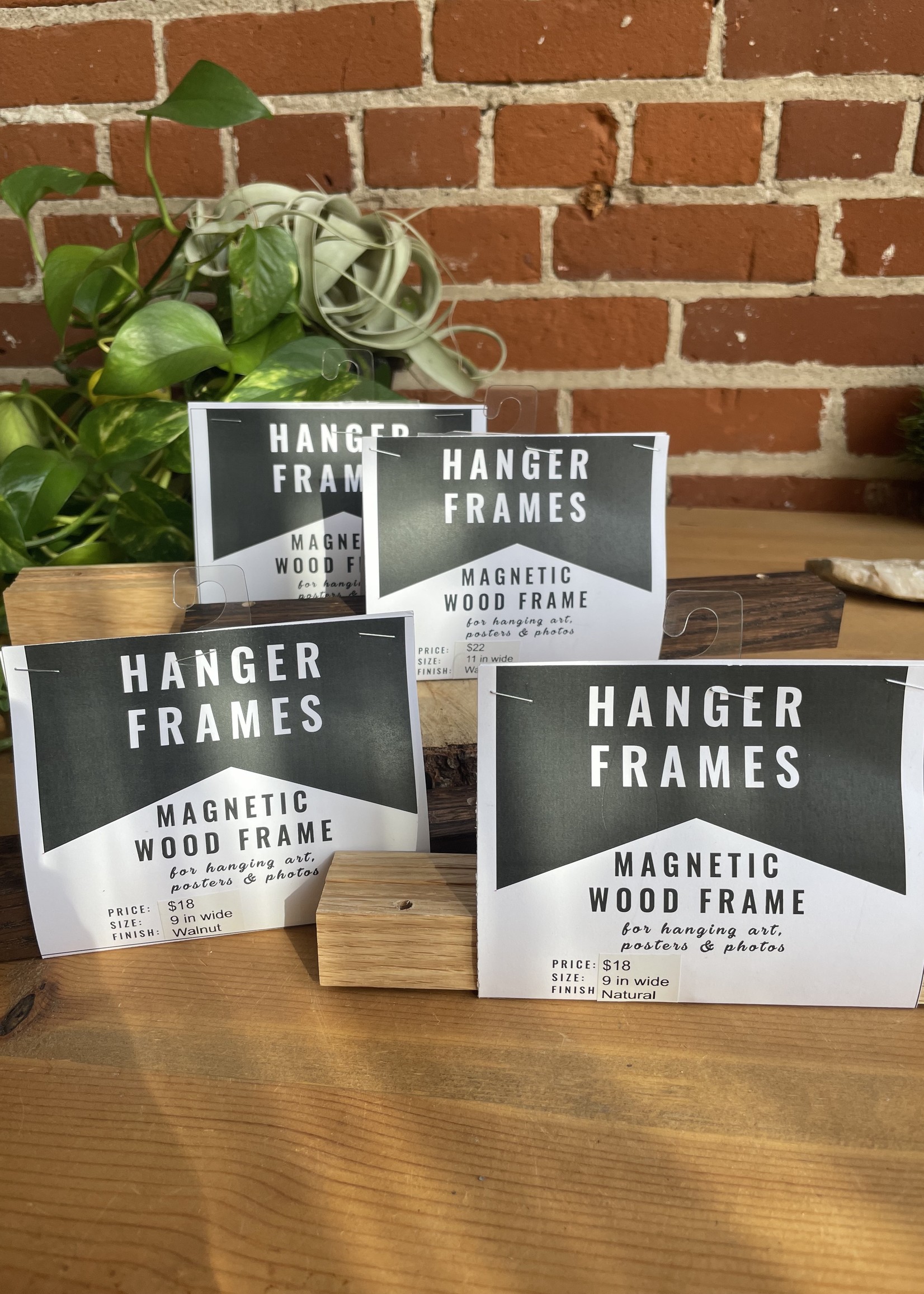 Hanger Frames Hanger Frames - Magnetic Print Frame: