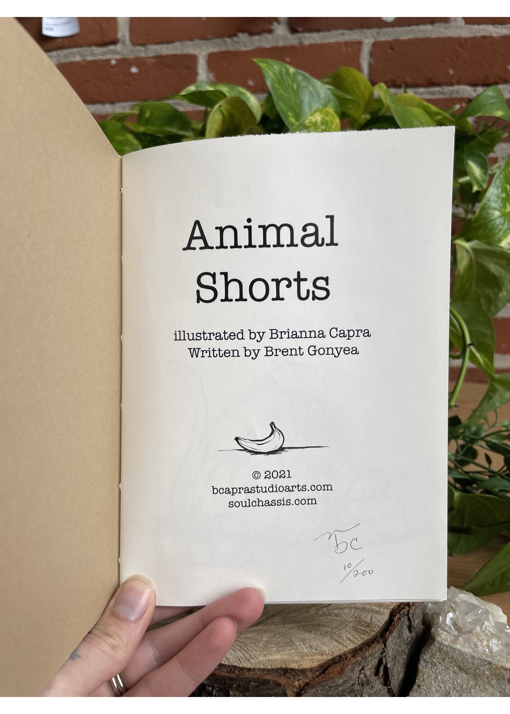 Animal Shorts