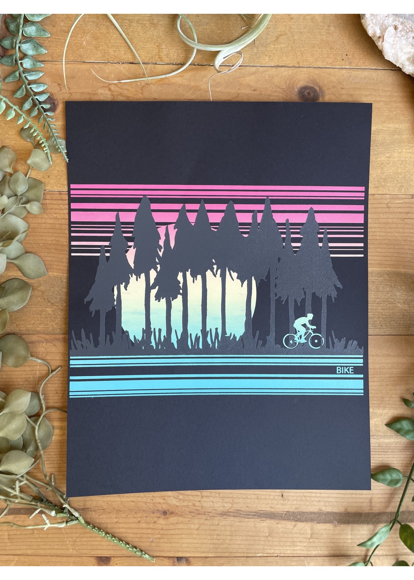 Tangled Up In Hue Screen Print - Hobby Bike 11x14