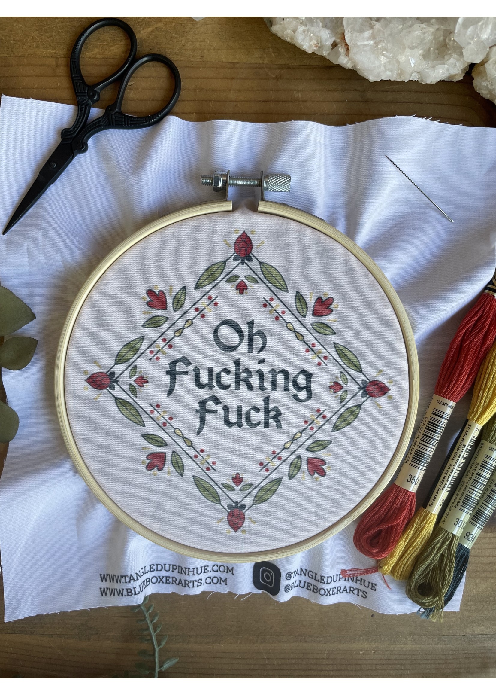 Primary Colors oh fuck Embroidery Kit - Beginner – Pretty Rude