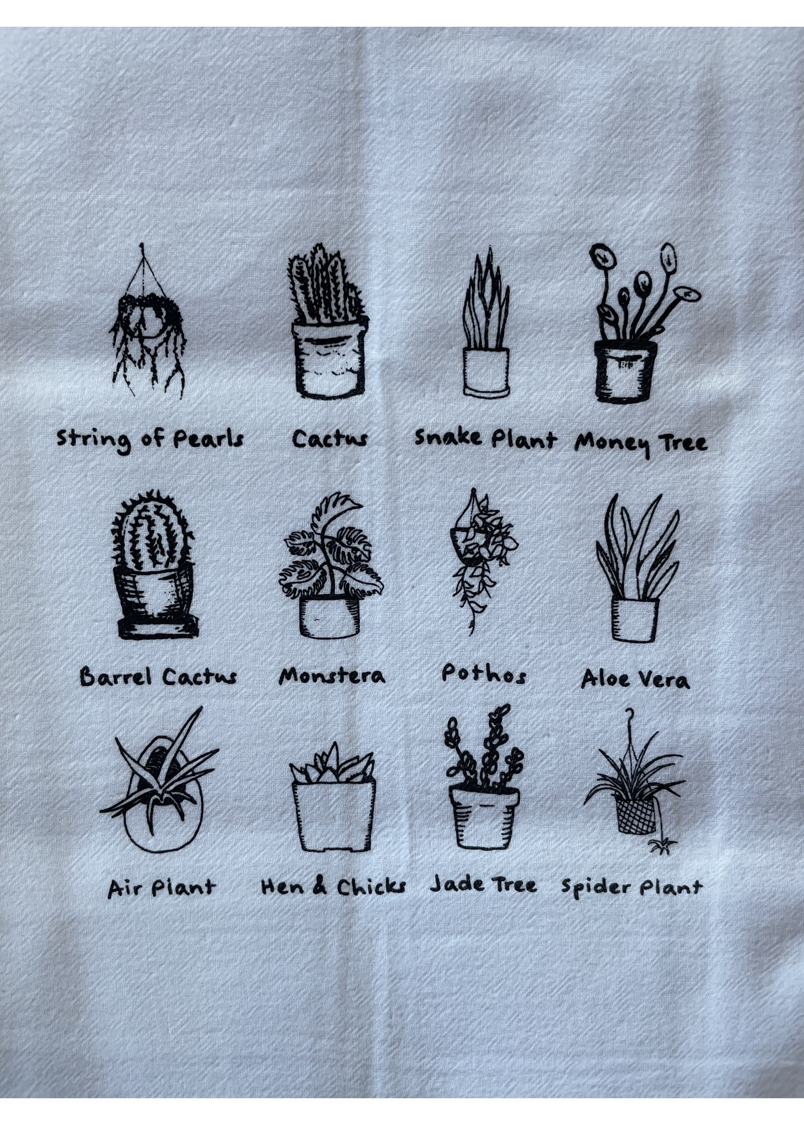 Tangled Up In Hue Screen Printed Dish Towel - Houseplant Lover