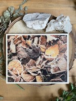 Cottage Charm Photography 8x10 Wood: Remember November