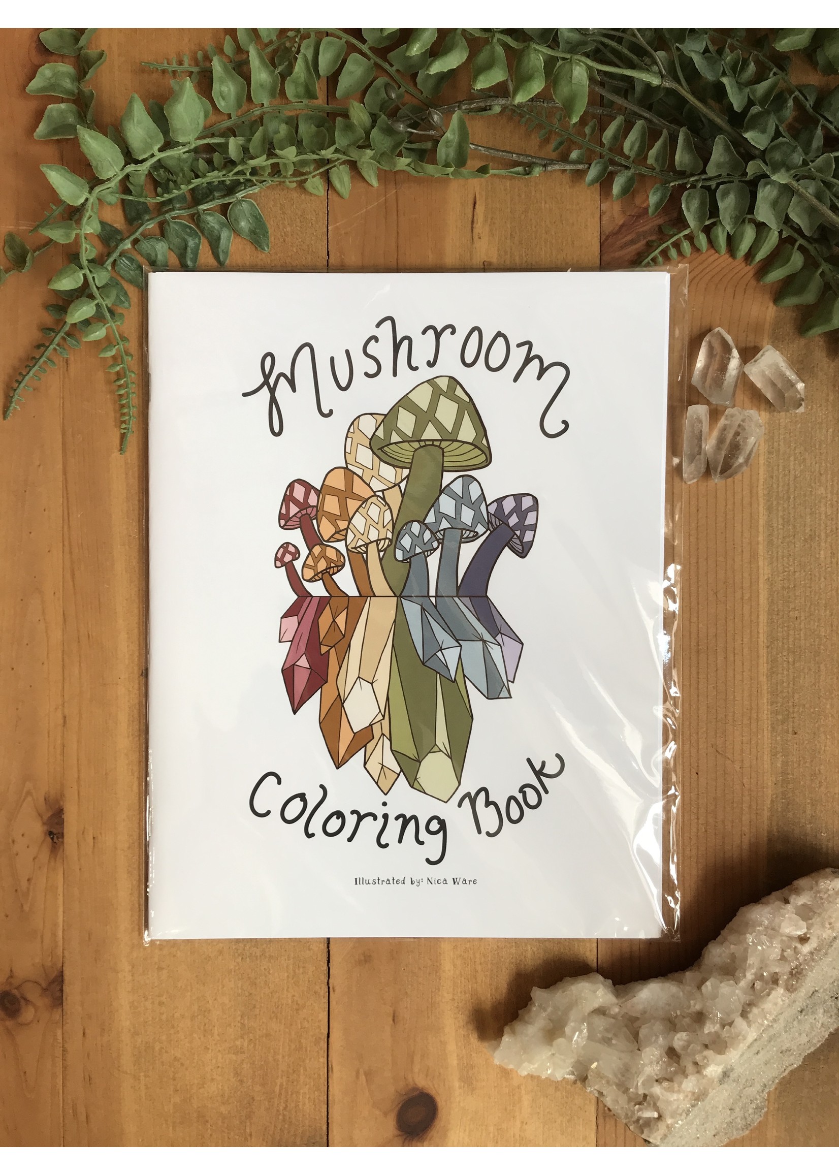 Mushroom Coloring Book