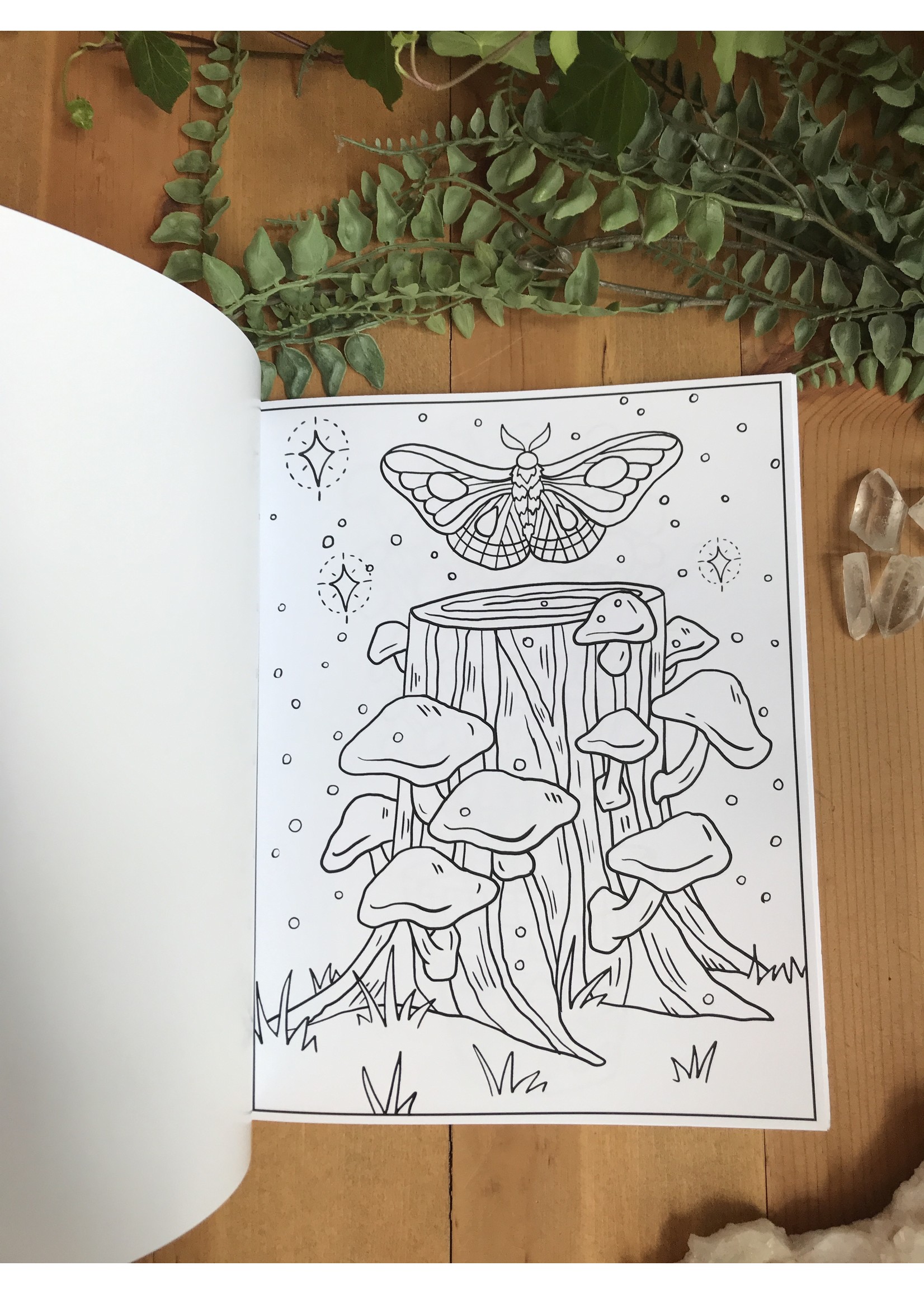 Mushroom Coloring Book