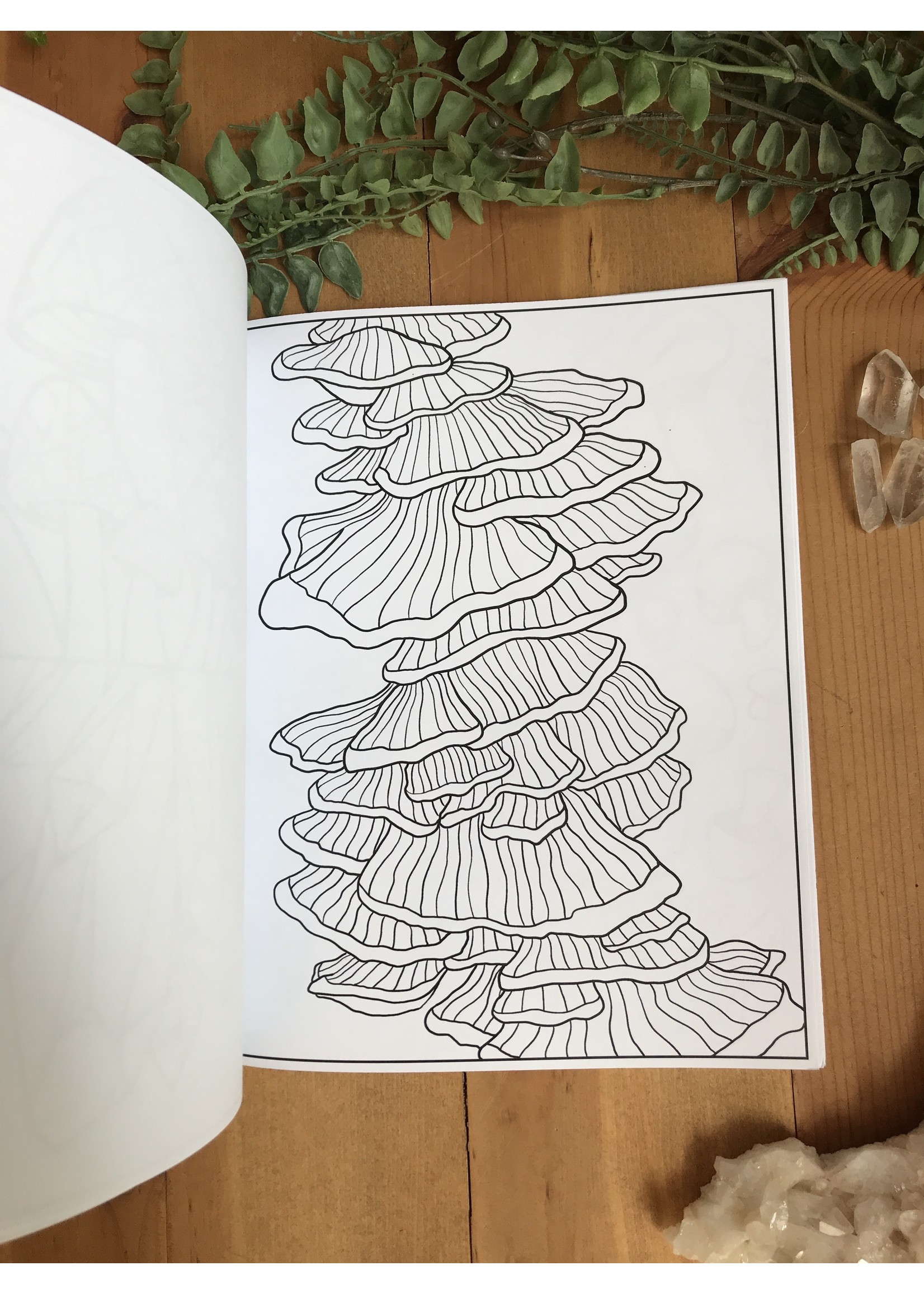 Mushroom Coloring Book