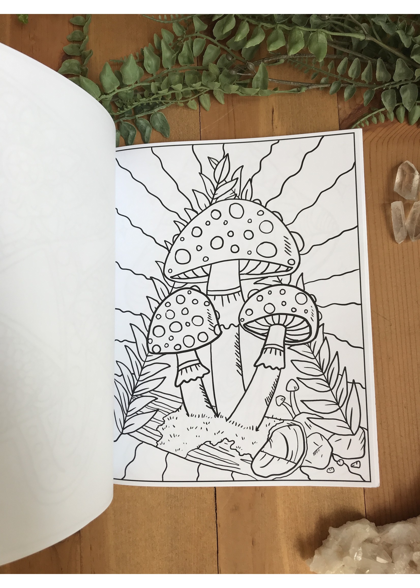 Mushroom Coloring Book