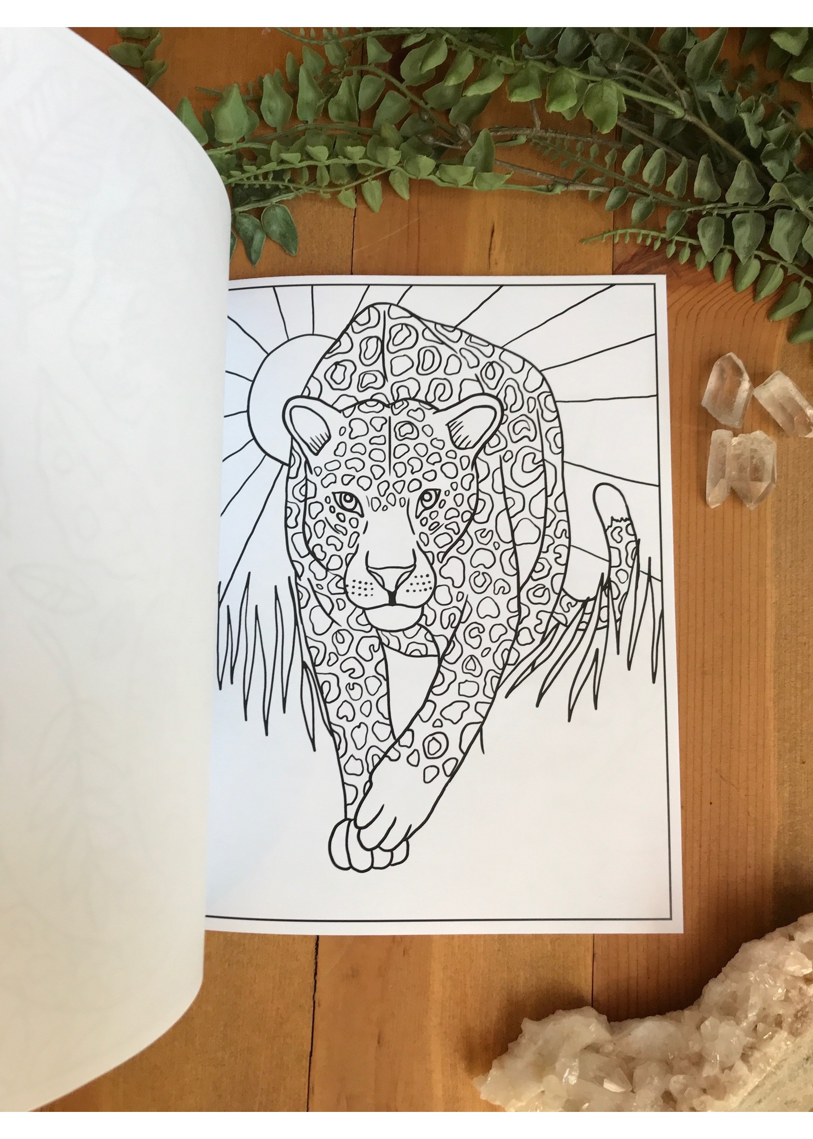 Leopards Coloring Book