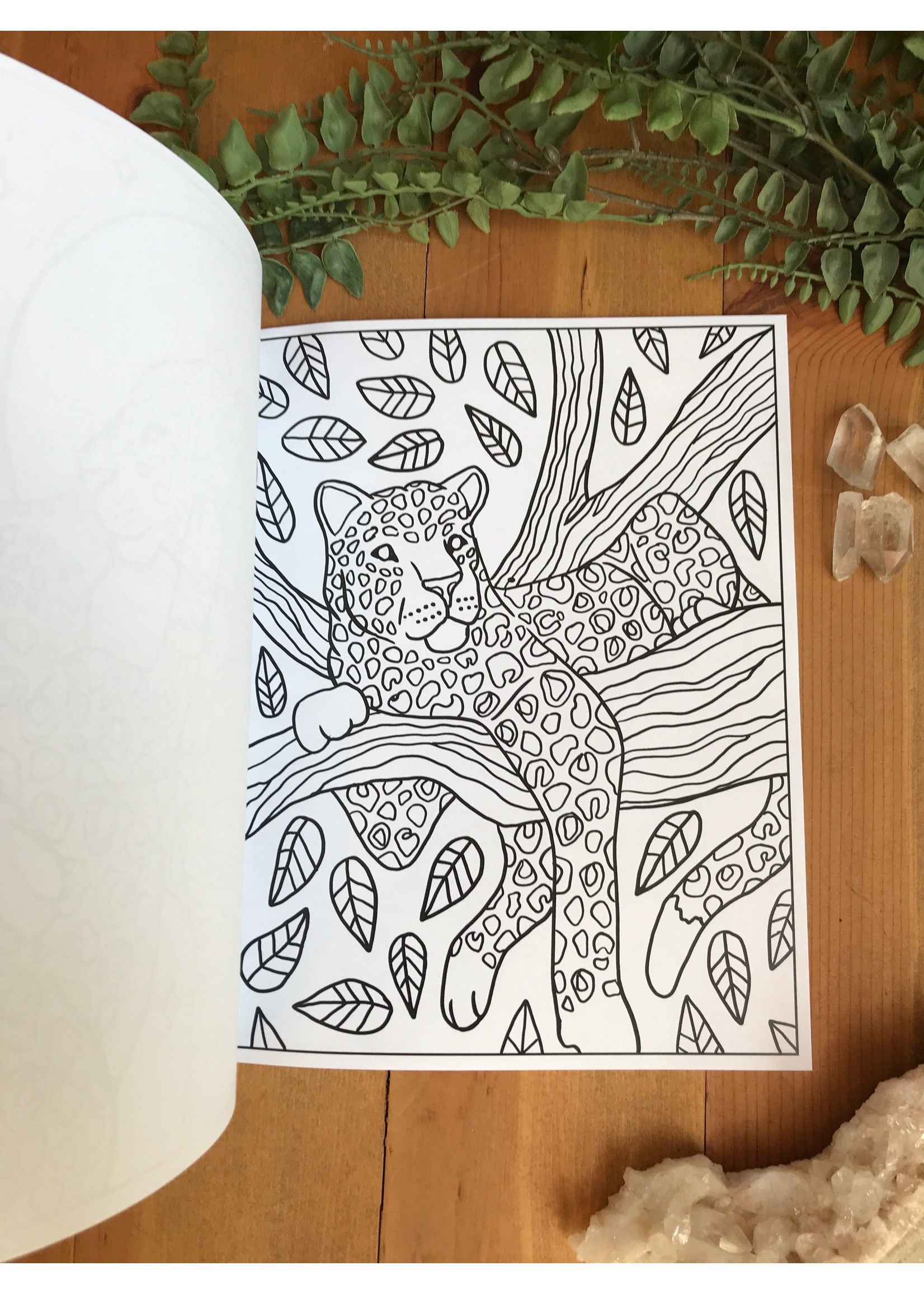 Leopards Coloring Book