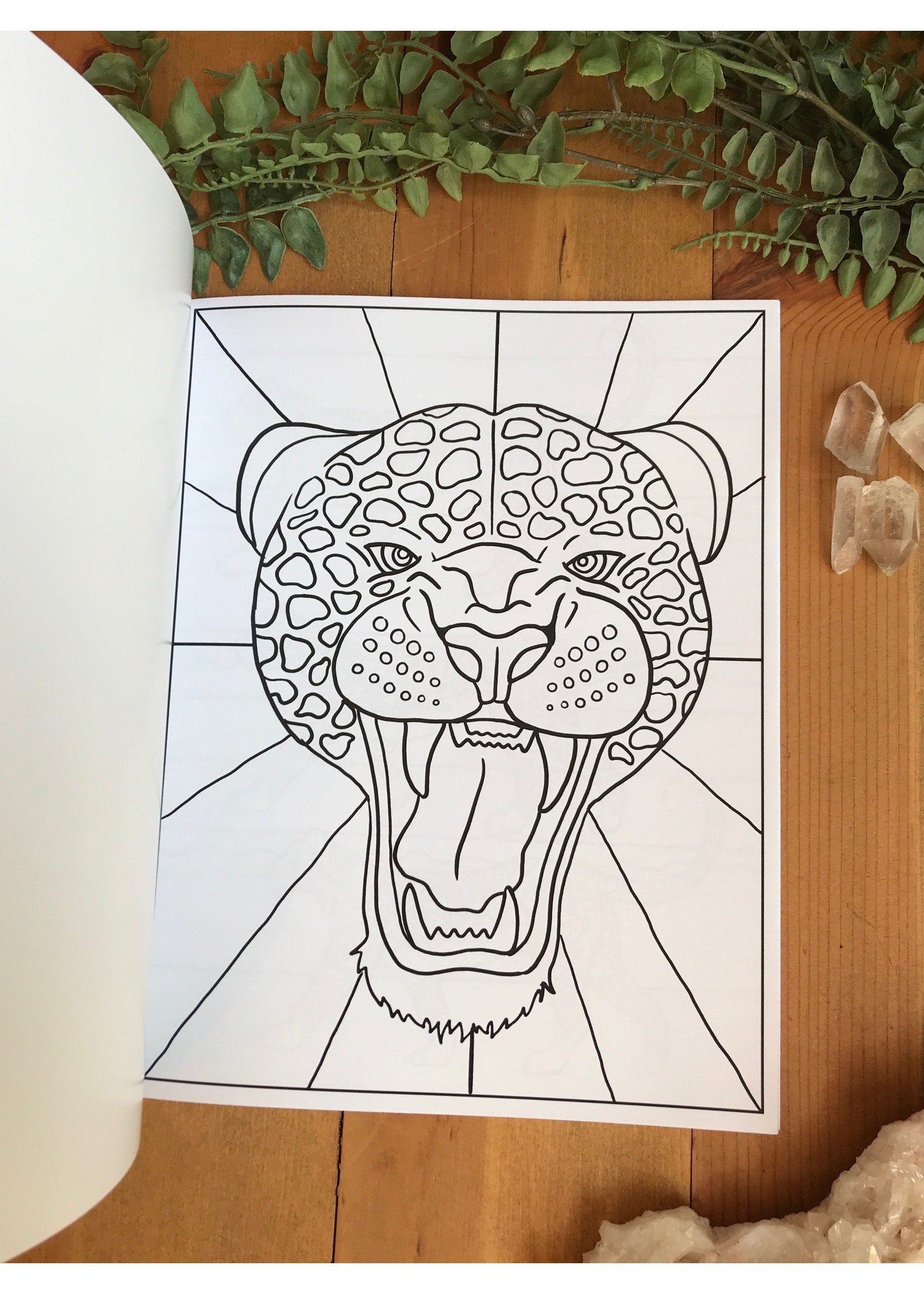 Leopards Coloring Book