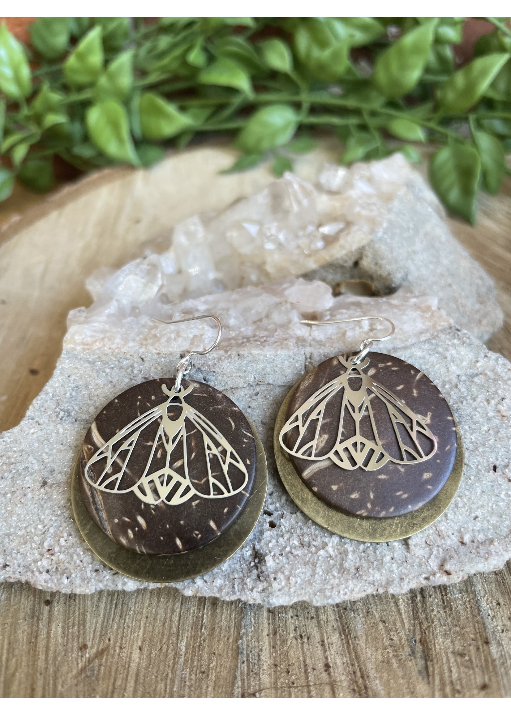 Wholesale Moth / Coconut Earrings