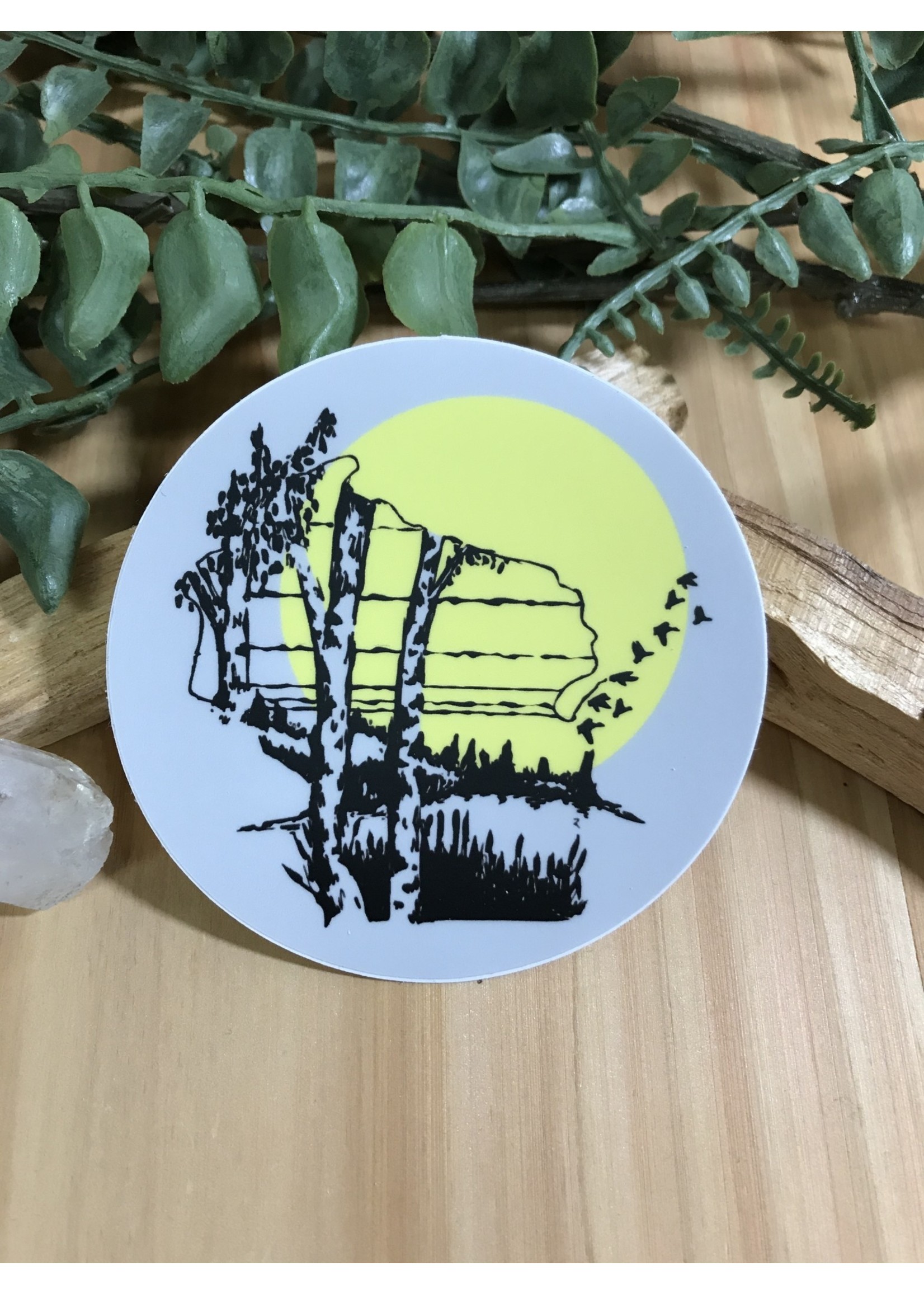 Tangled Up In Hue Wholesale Sticker - Wisconsin Birch