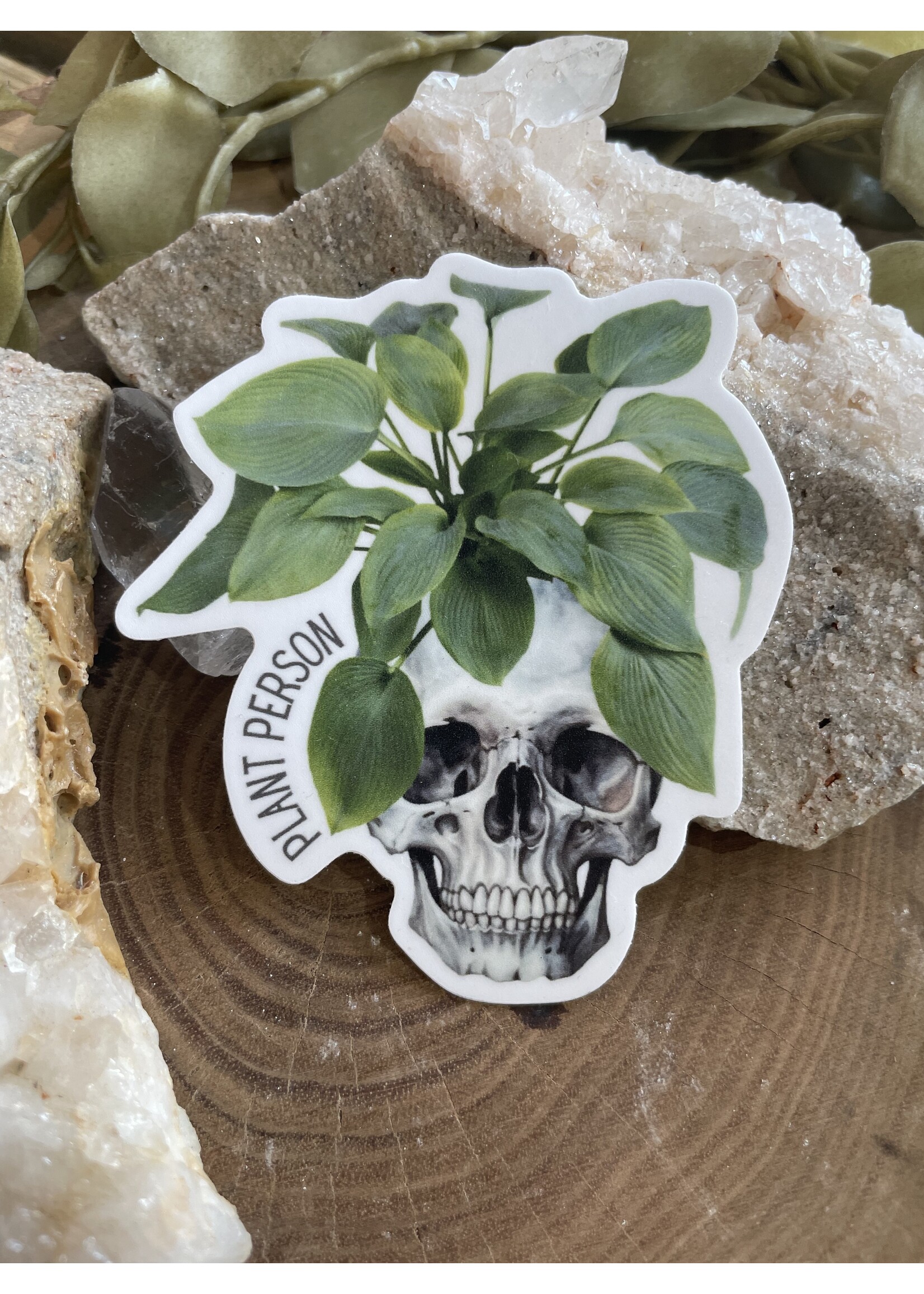 Tangled Up In Hue Sticker - PLANT PERSON