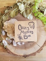 The Odd House Oddity Mystery Box