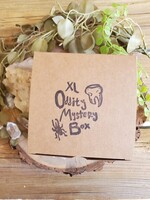 The Odd House XL Oddity Mystery Box