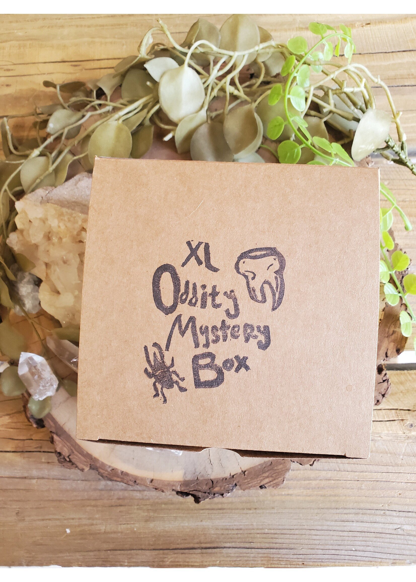 XL Oddity Mystery Box