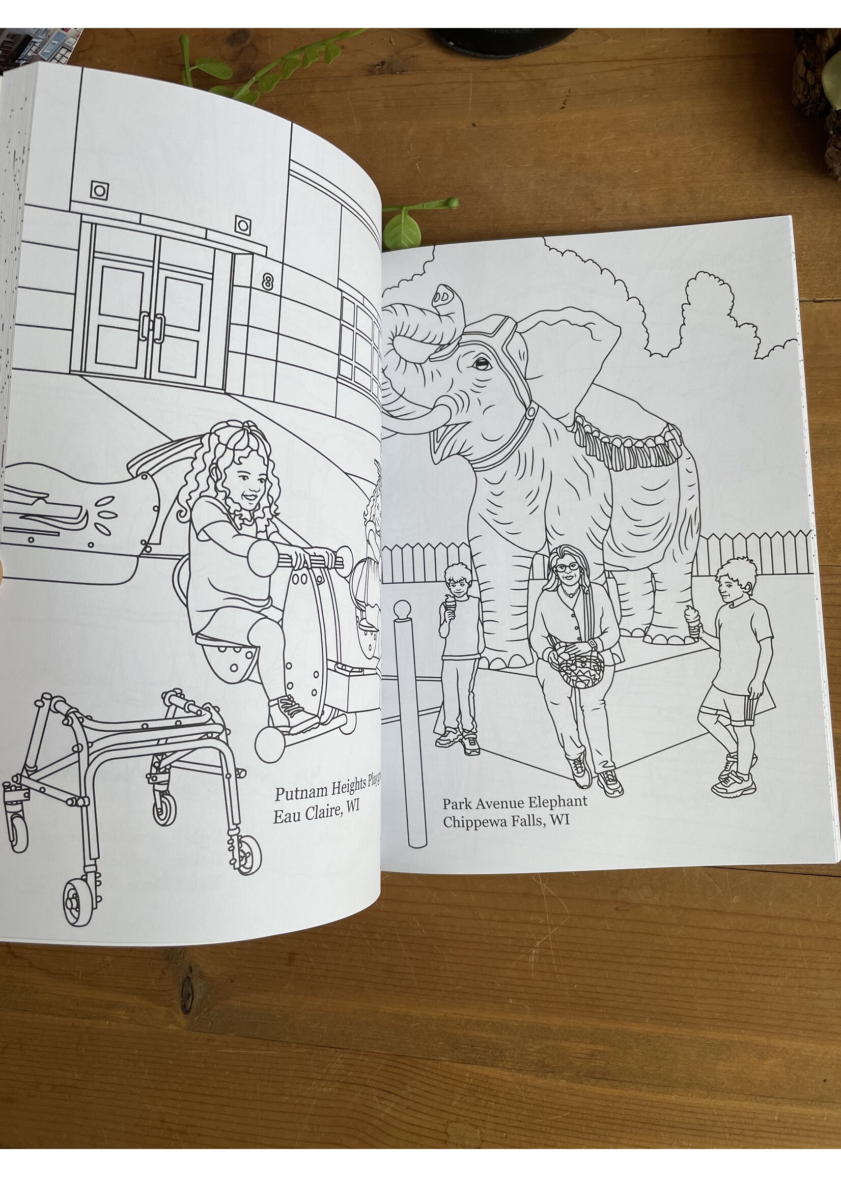 Color the Chippewa Valley Coloring Book