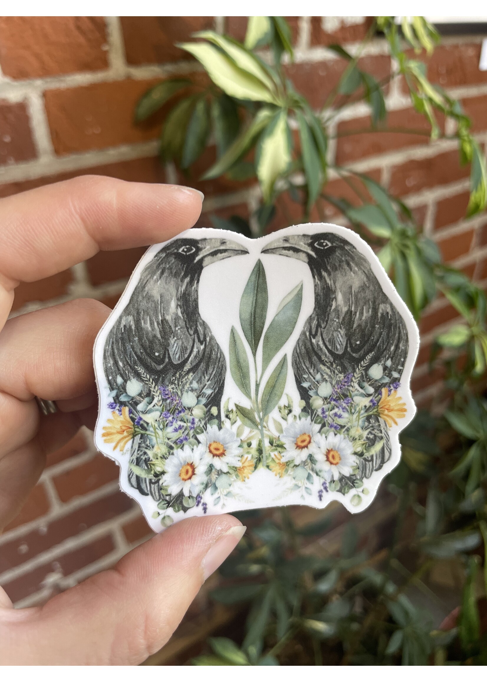 Tangled Up In Hue Sticker - Crow Duo