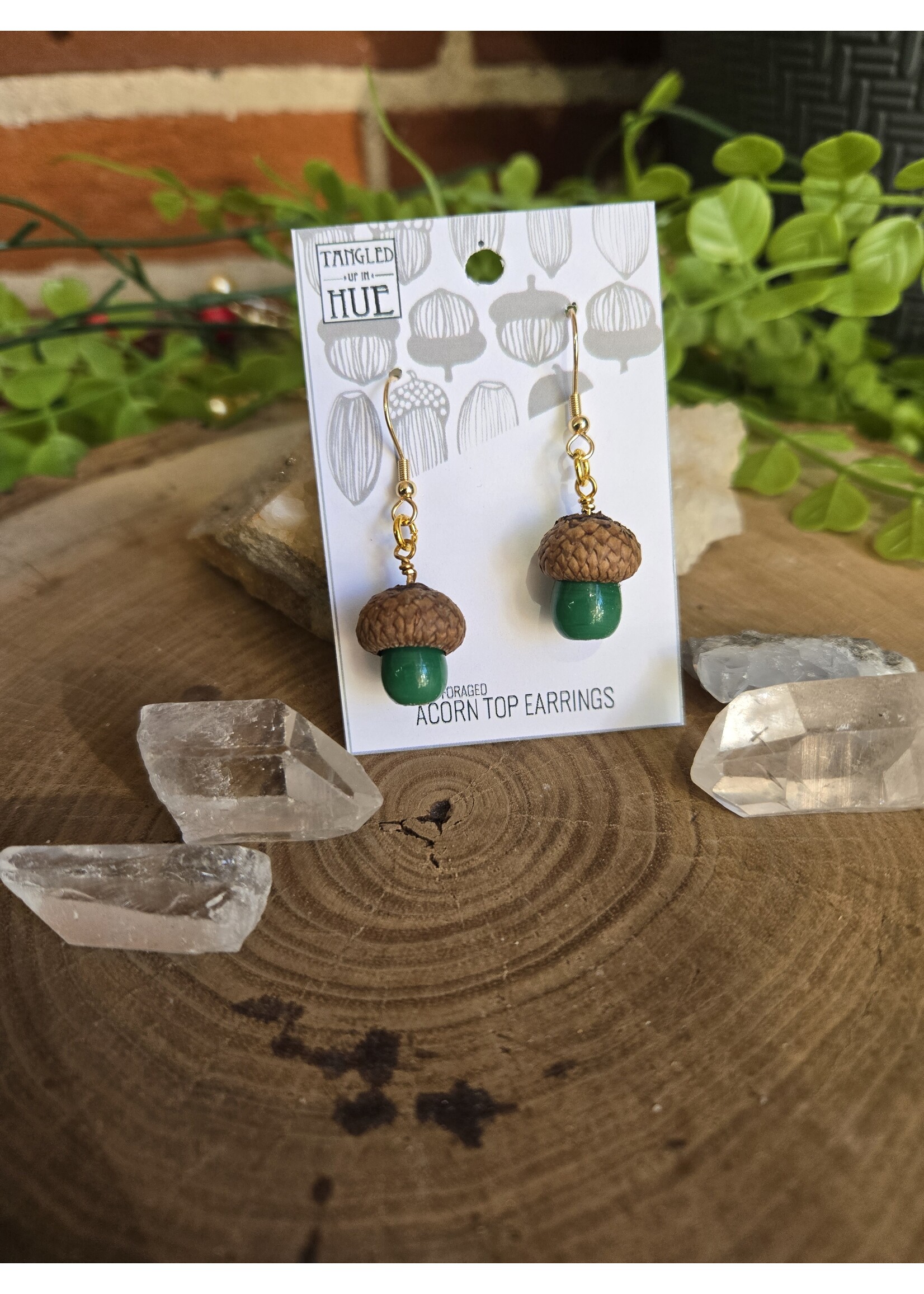 Tangled Up In Hue Locally Foraged Acorn Top Earrings