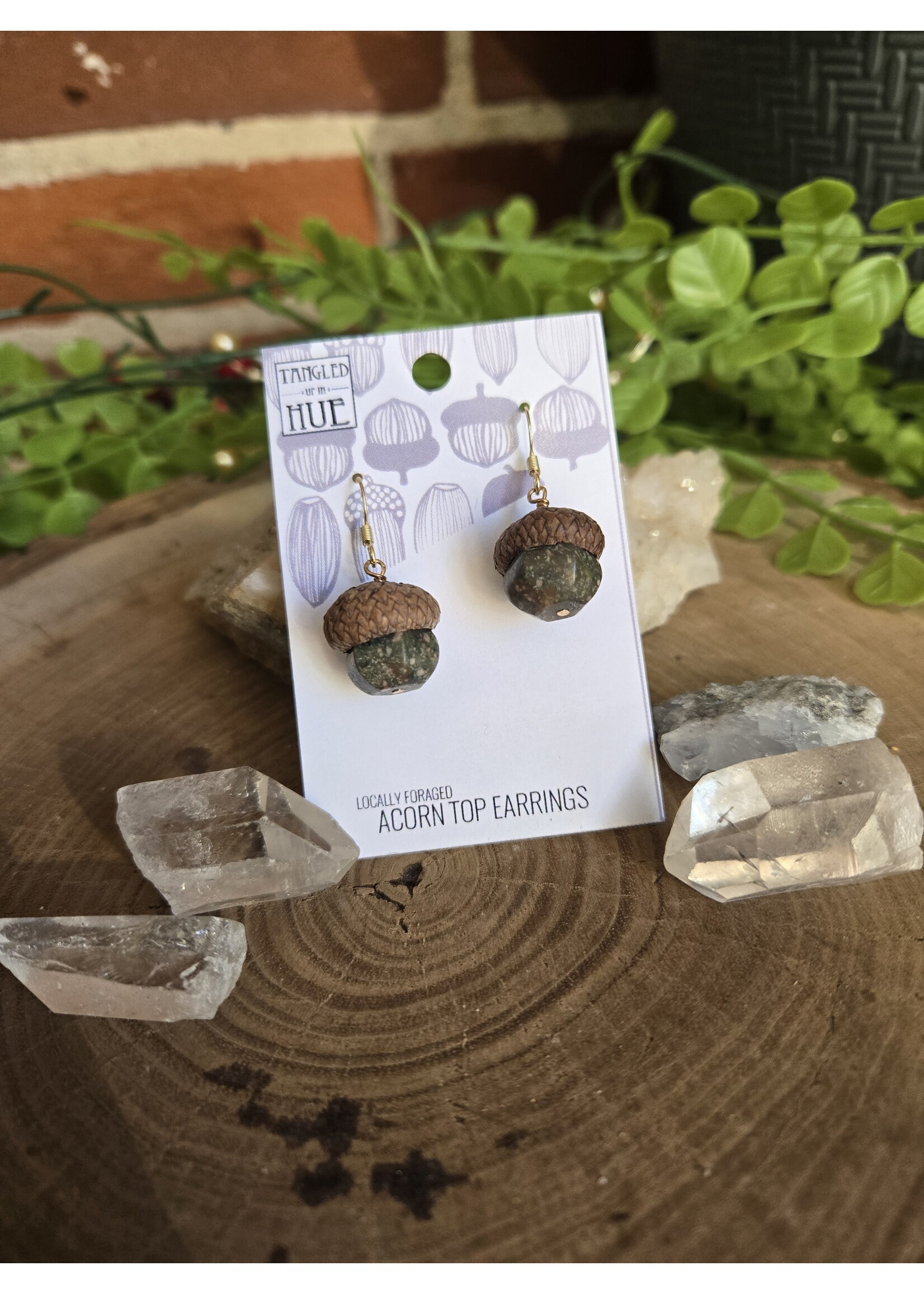 Tangled Up In Hue Locally Foraged Acorn Top Earrings