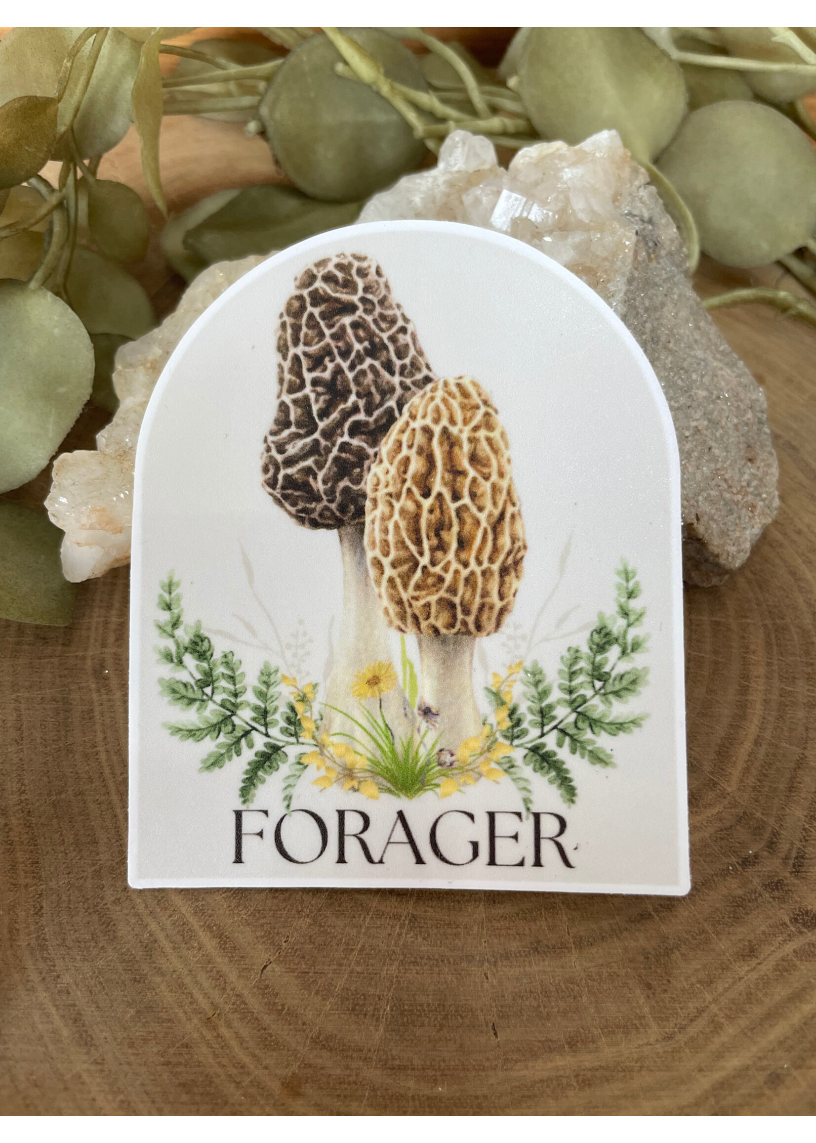 Tangled Up In Hue Sticker - Forager