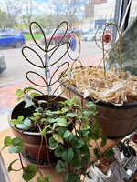 Plant Stake - Wire Wrapped