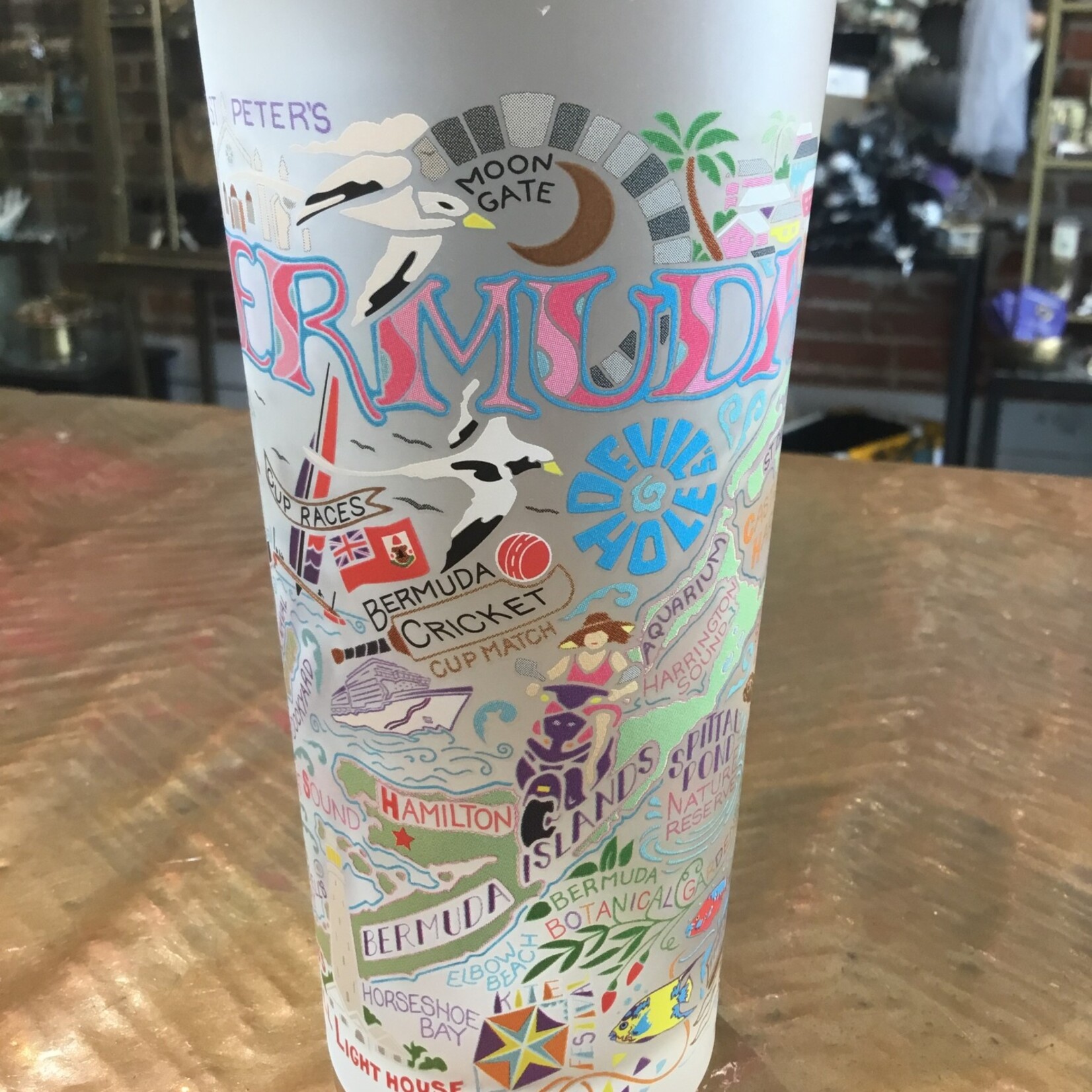 Catstudio Glass Bermuda