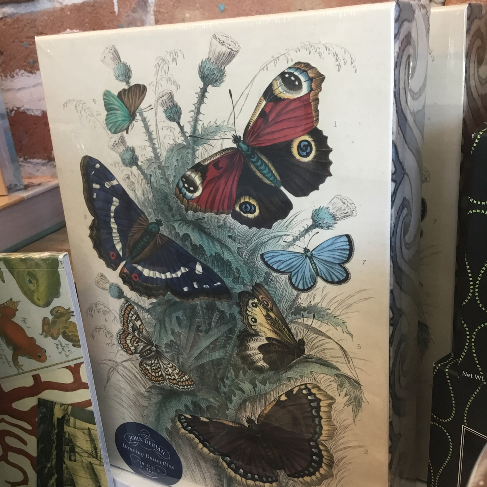 Hachette John Derian Dancing Butterflies