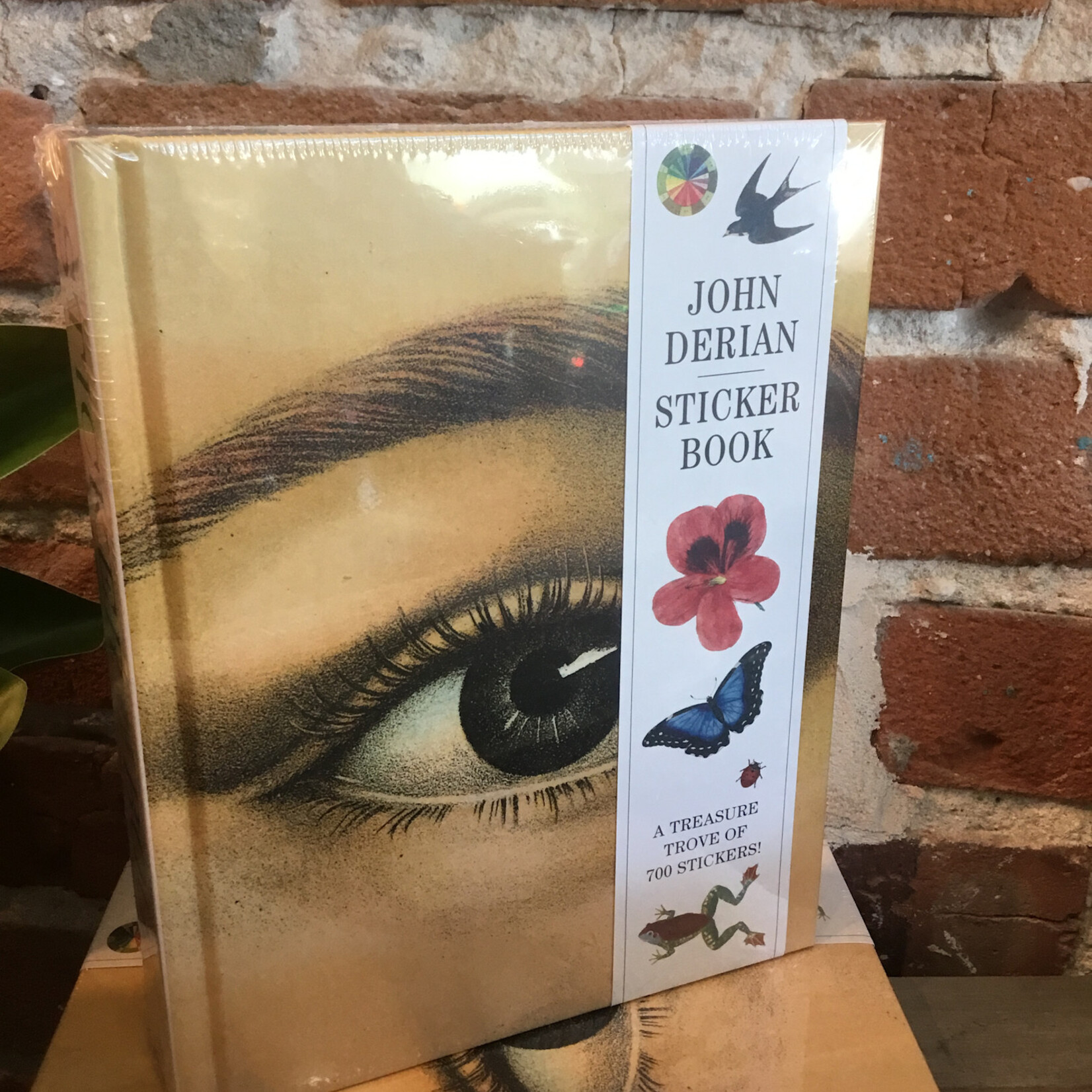 Hachette John Derian Sticker Book